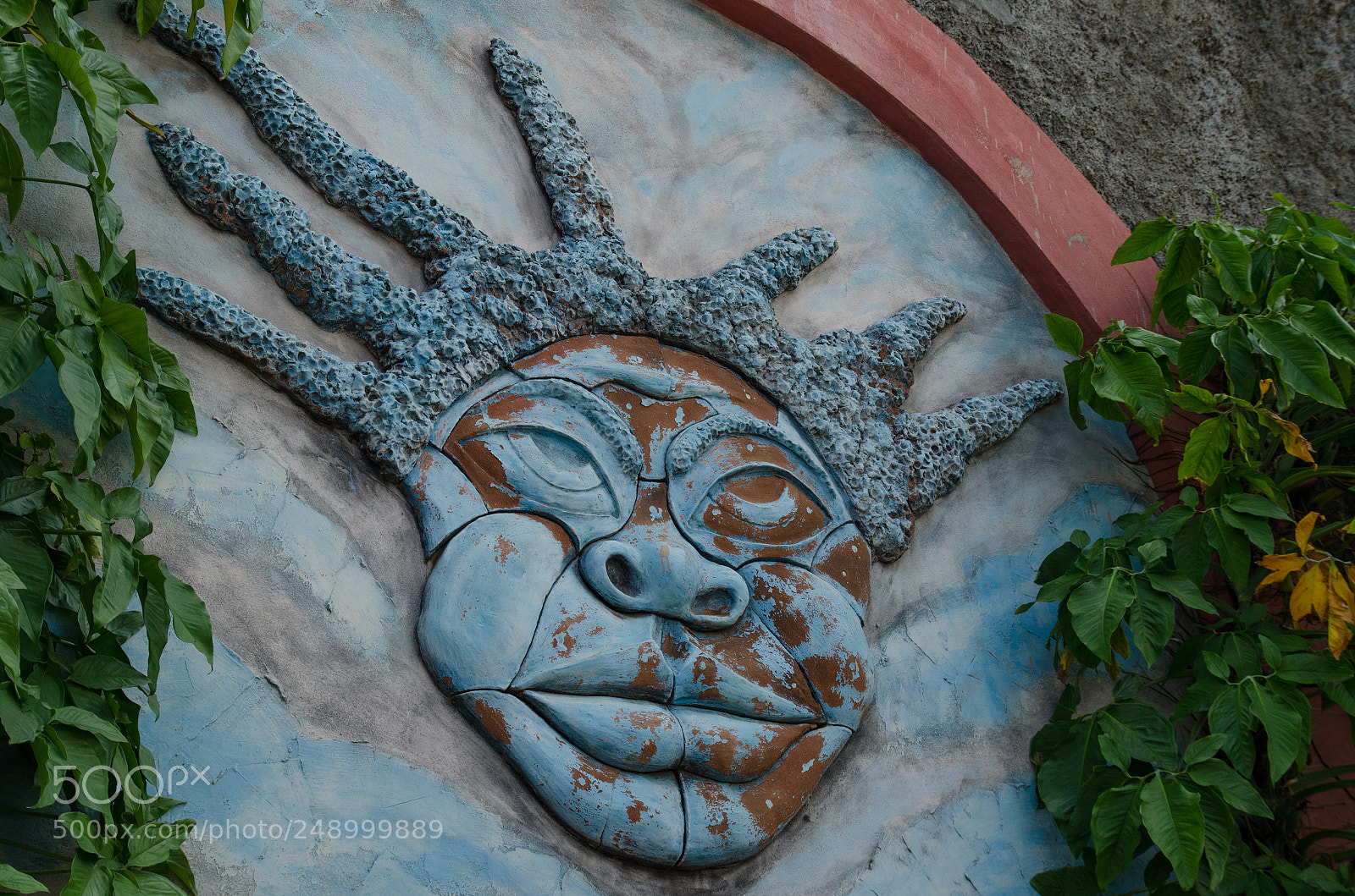 Nikon D7000 sample photo. Roots photography