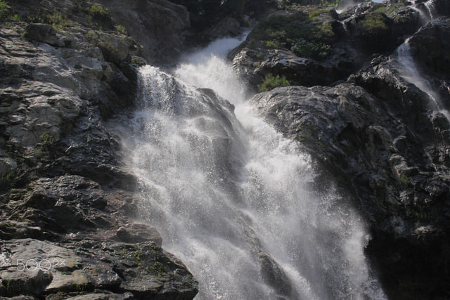 Canon EOS 50D sample photo. Photographer photography