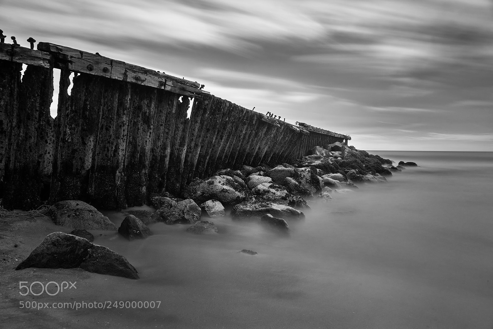 Sony a7R sample photo. Copy photography