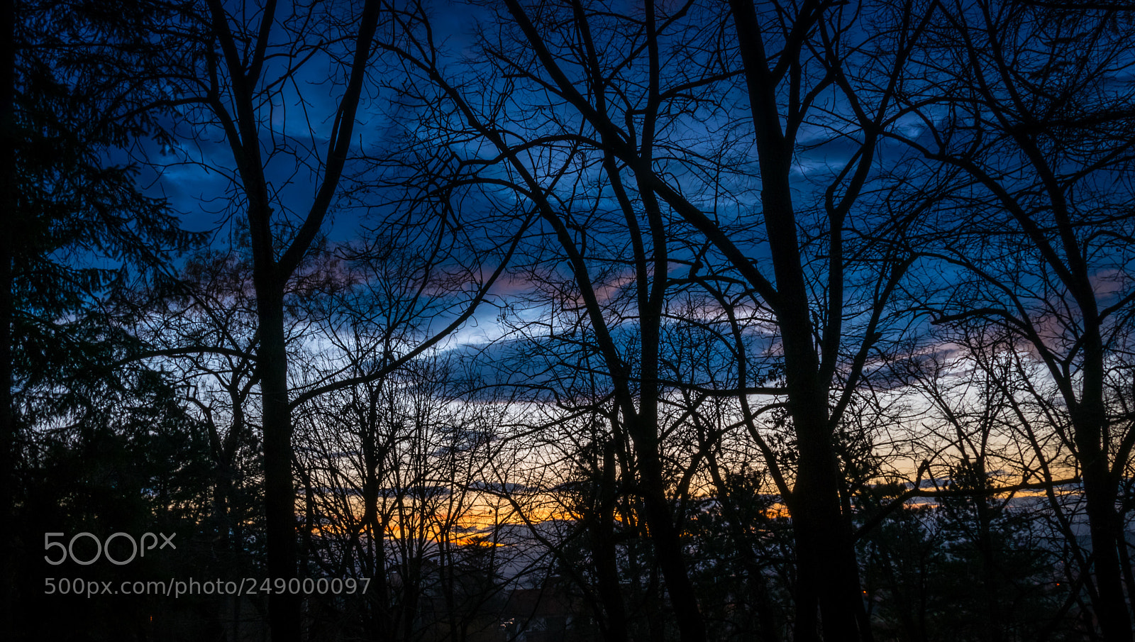 Nikon D5300 sample photo. Sunset through the forest photography