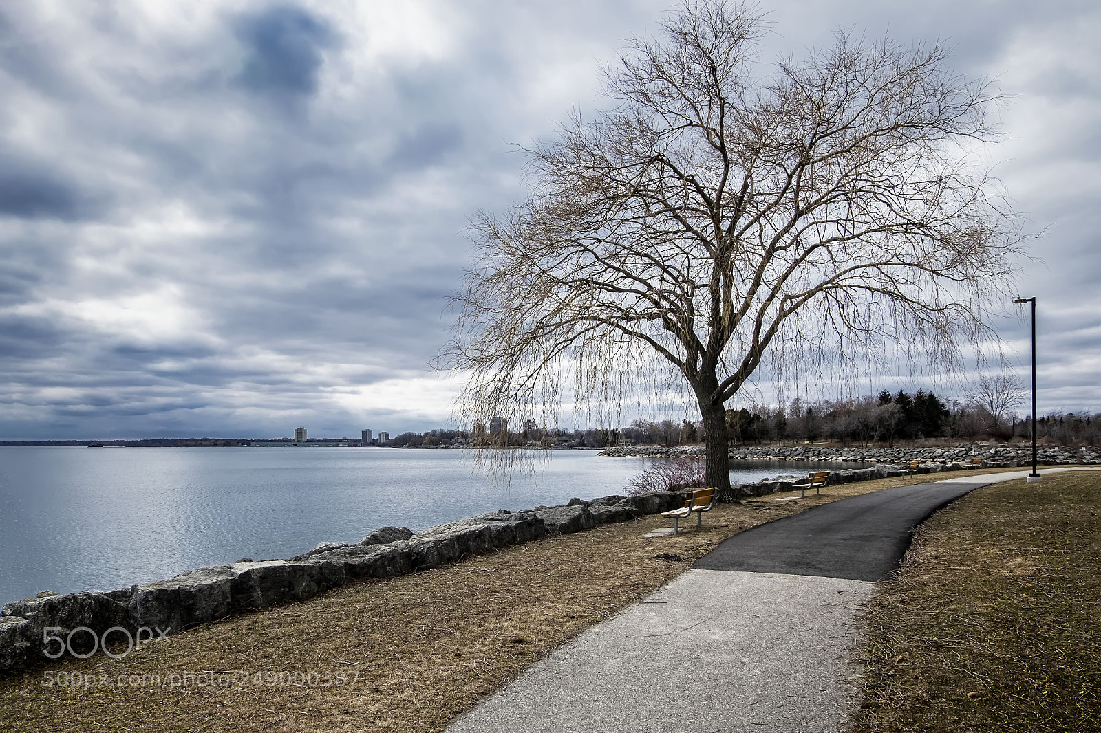 Fujifilm X-E2 sample photo. Lakeview park photography