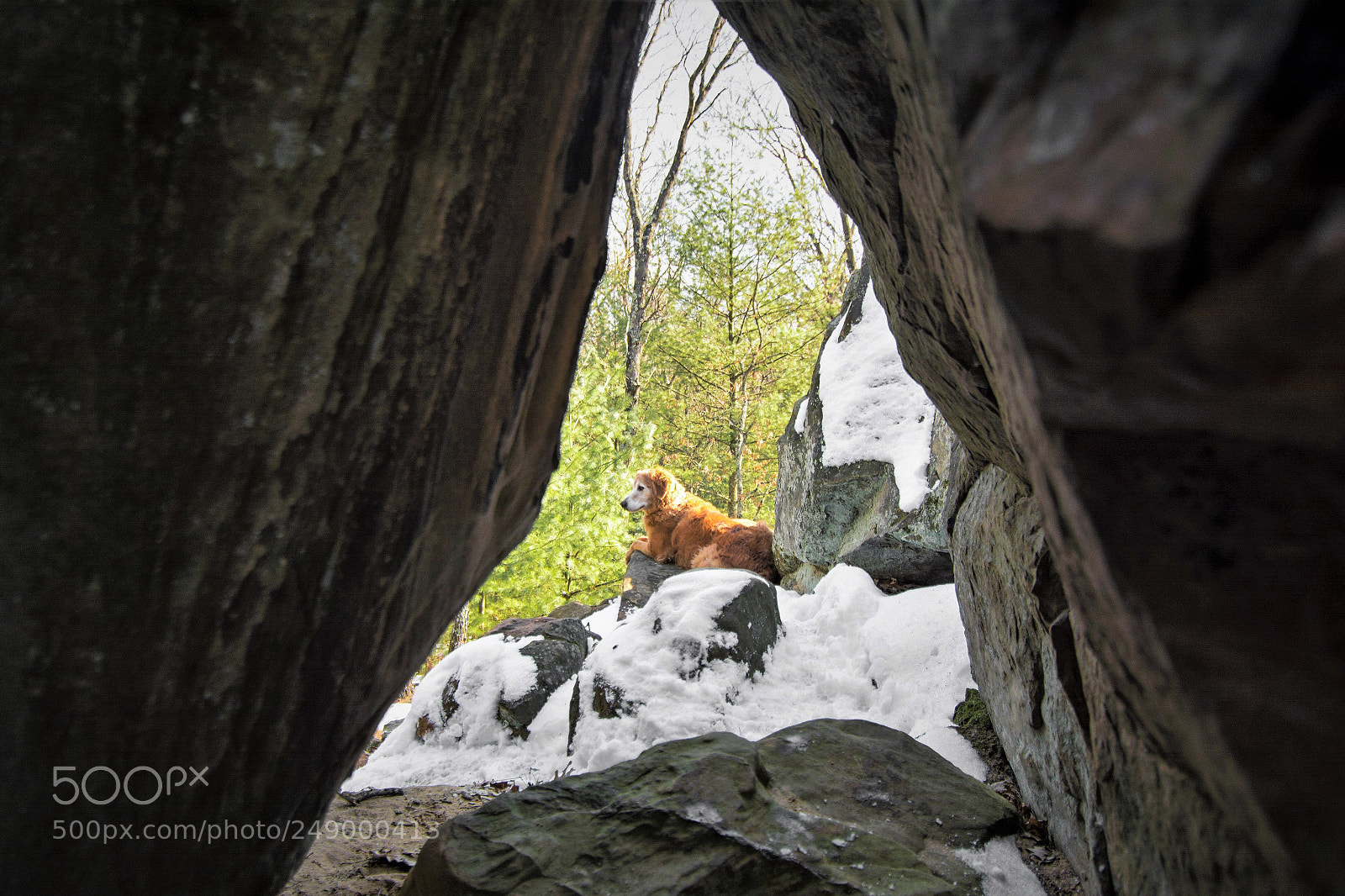 Nikon D7100 sample photo. Lookout photography