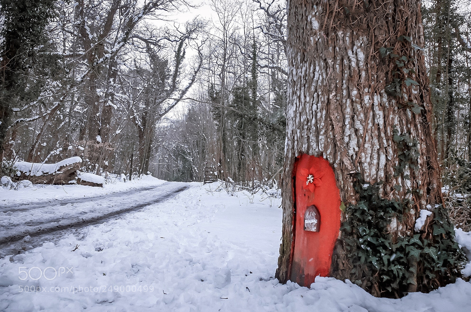 Fujifilm X30 sample photo. The red door photography