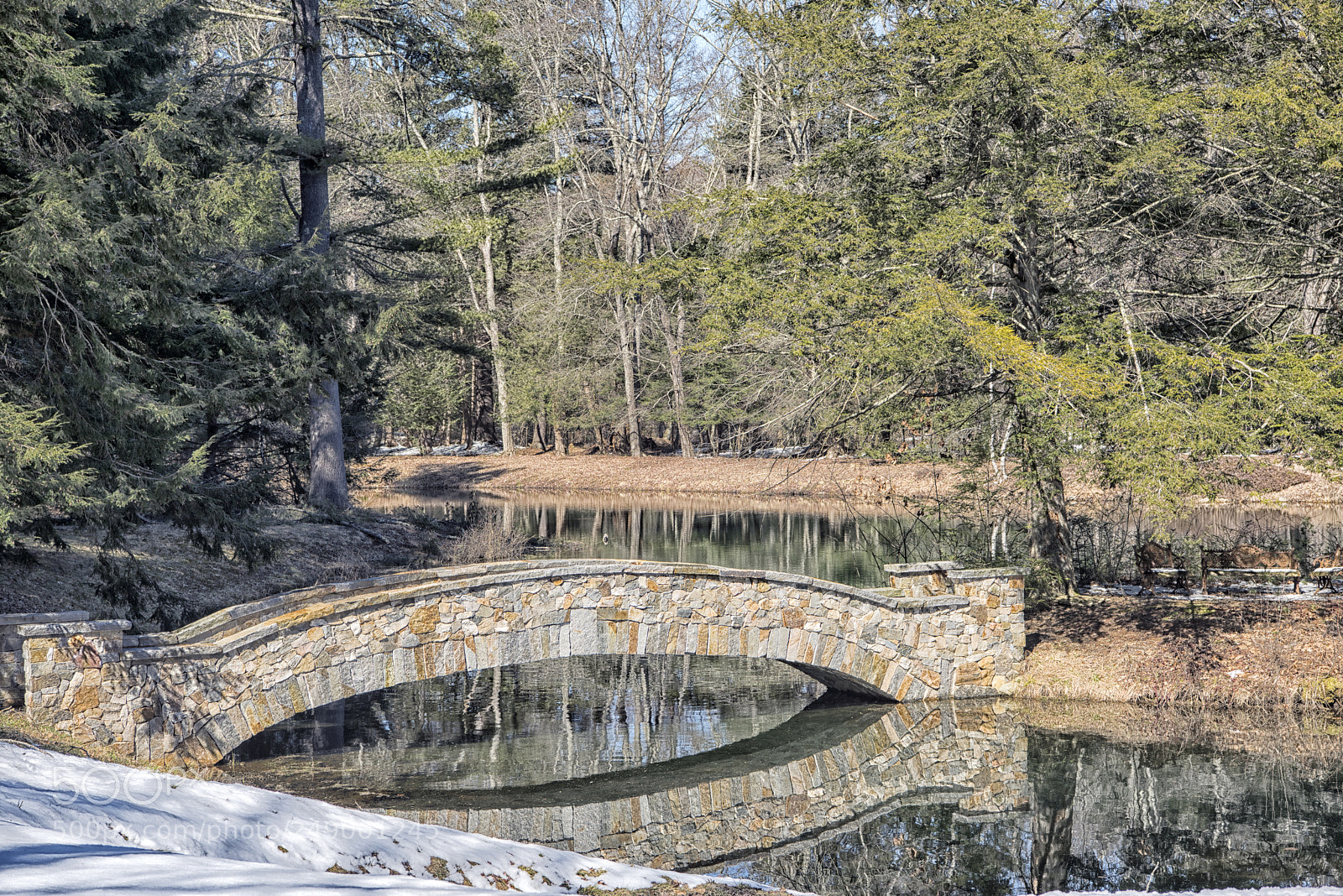 Nikon D810 sample photo. Stone bridge to pond photography