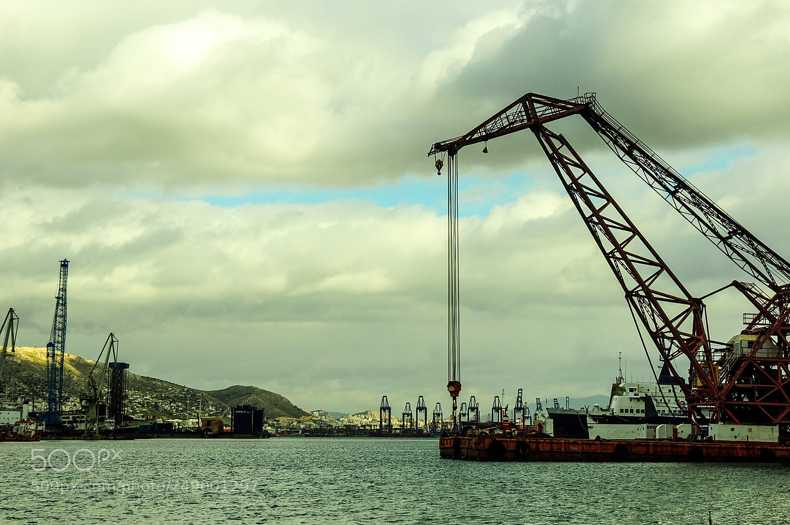 Nikon D90 sample photo. Cranes... photography