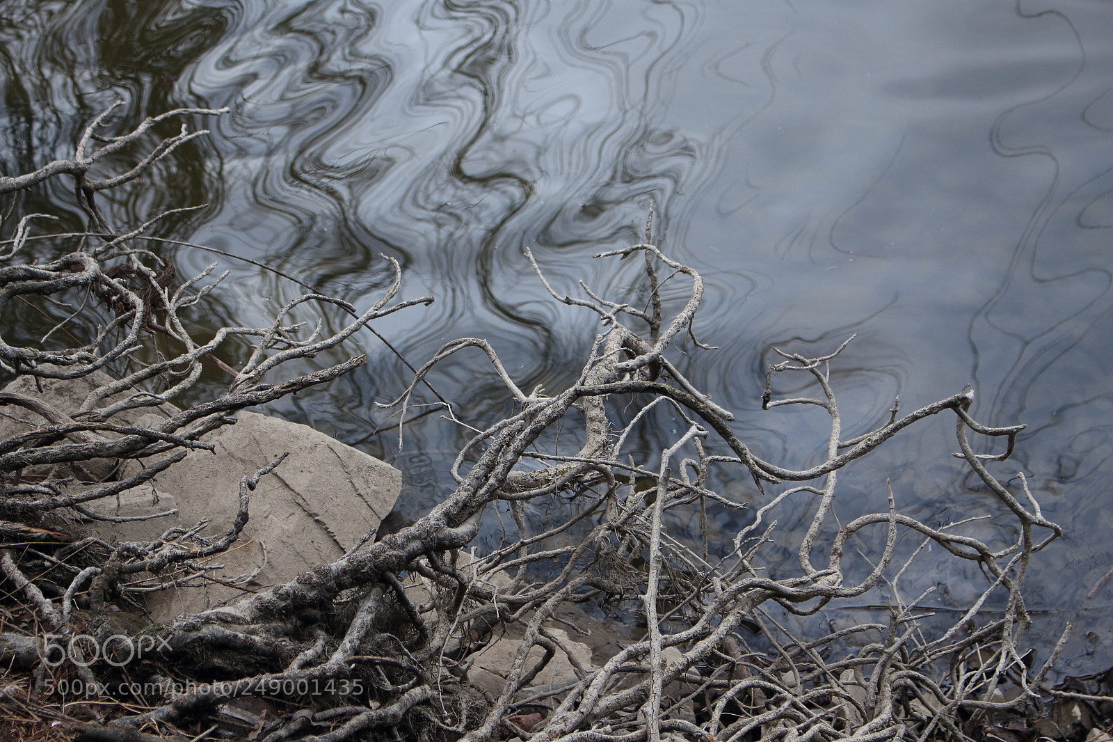 Canon EOS 700D (EOS Rebel T5i / EOS Kiss X7i) sample photo. Ripple in reflection photography