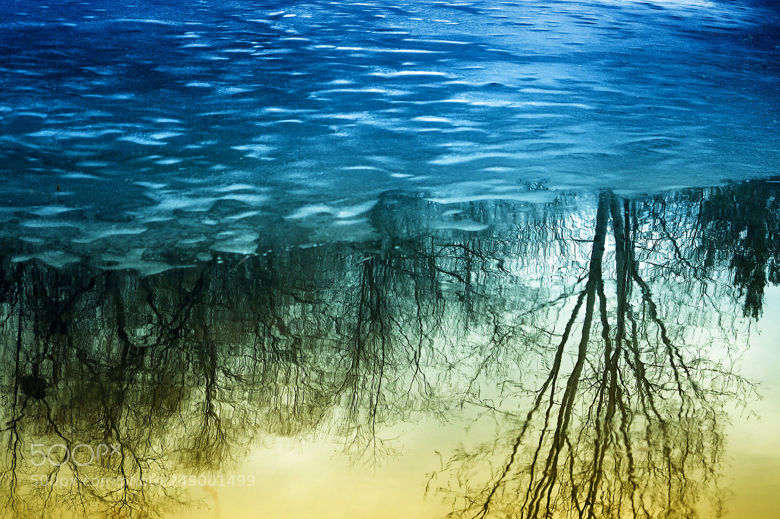 Olympus OM-D E-M1 sample photo. Secrets from the river photography