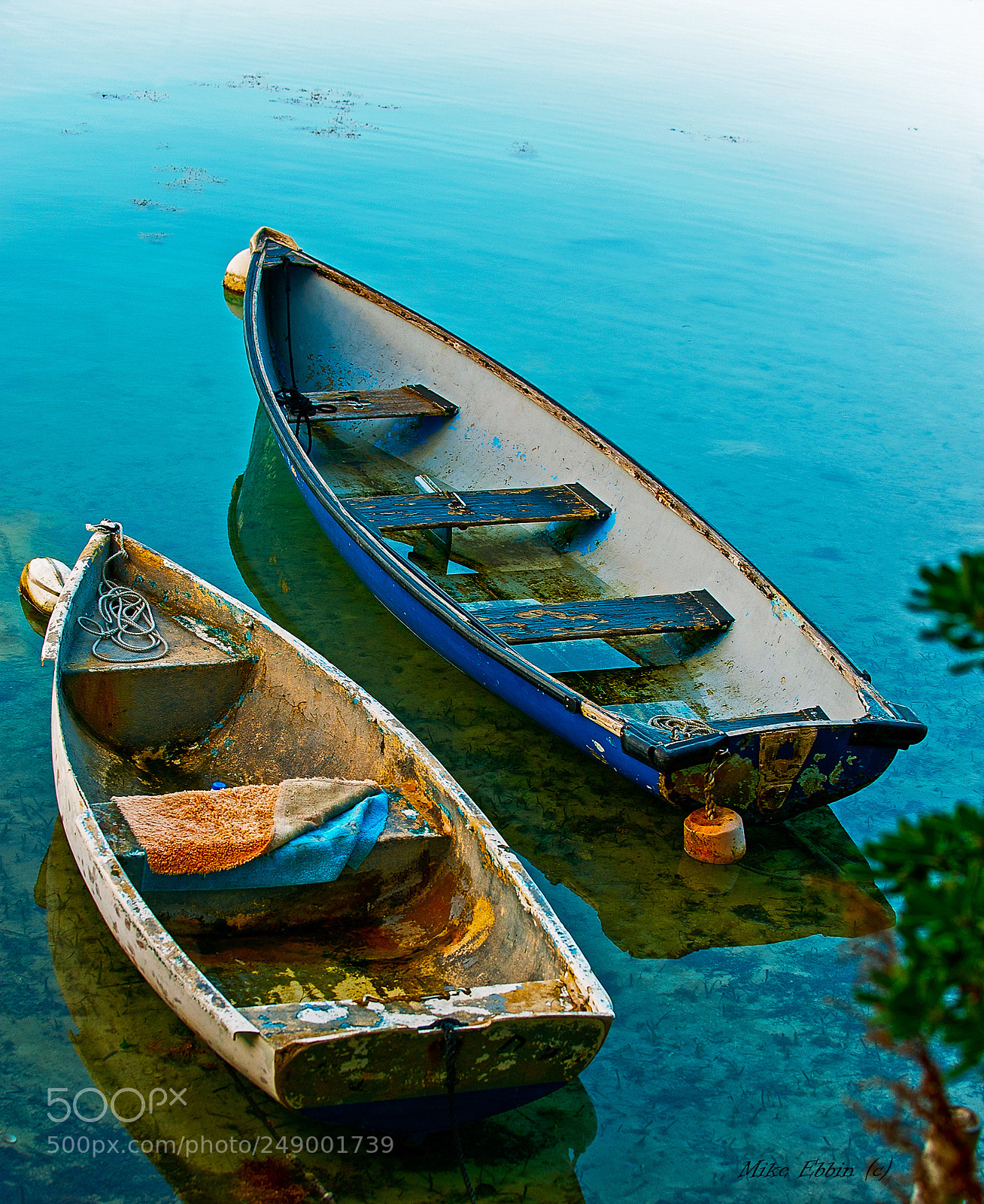 Nikon D700 sample photo. Punt to punt photography