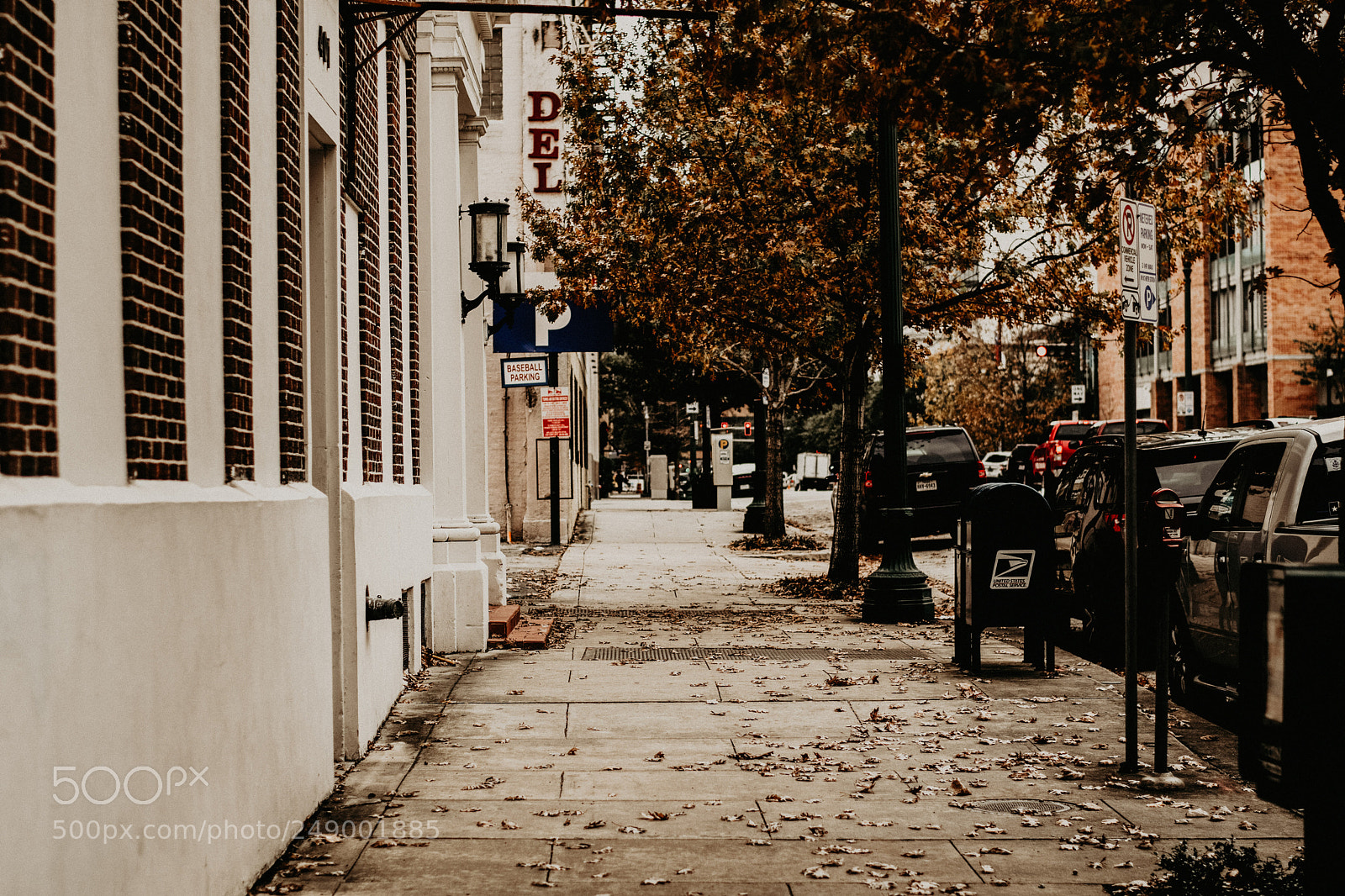 Nikon D3300 sample photo. Houston photography
