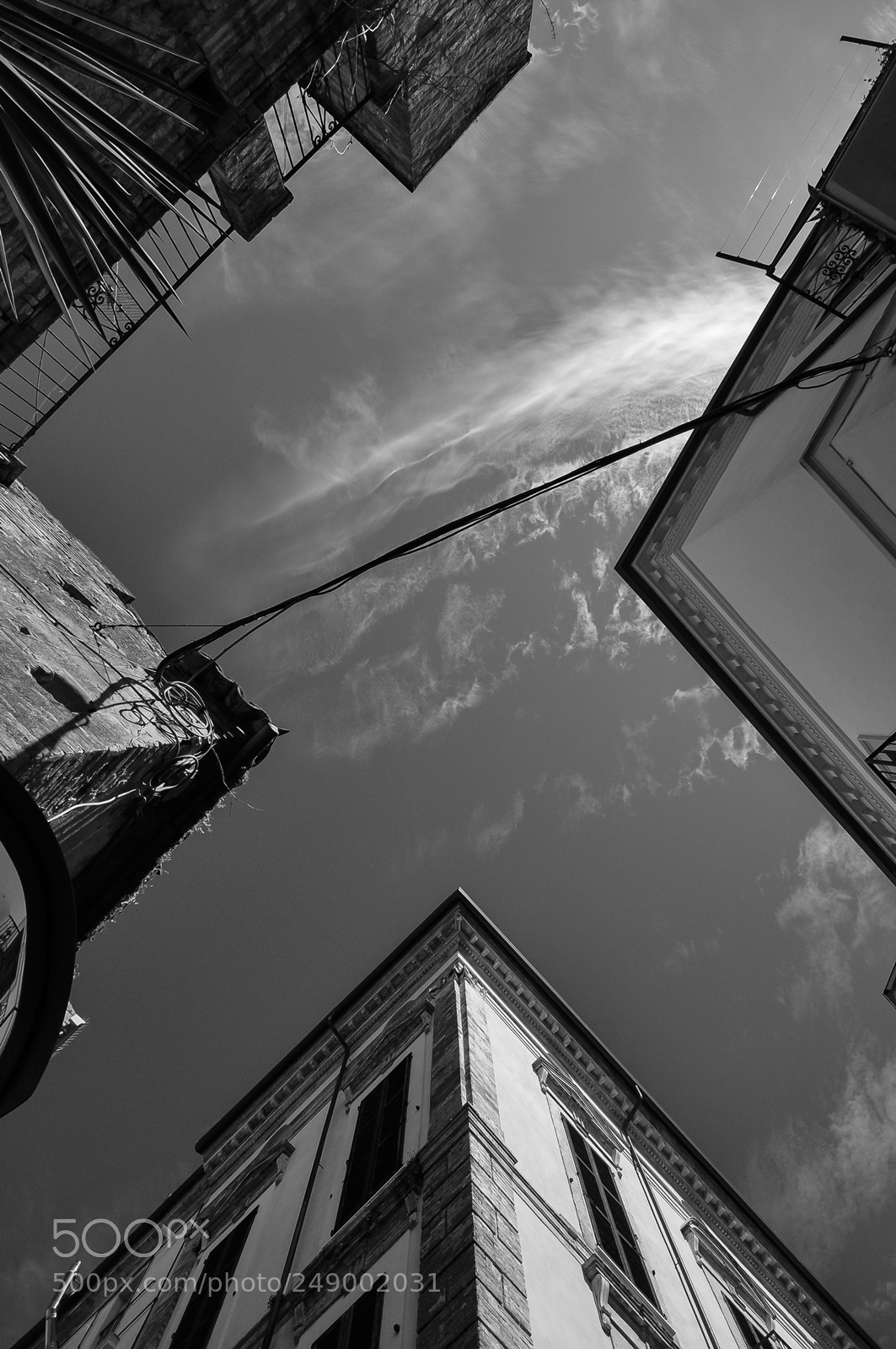Nikon D90 sample photo. Untitled photography