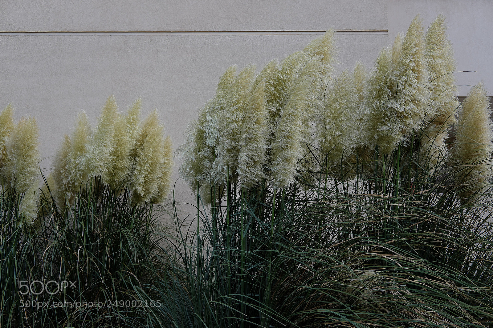 Fujifilm X-E2 sample photo. A photography