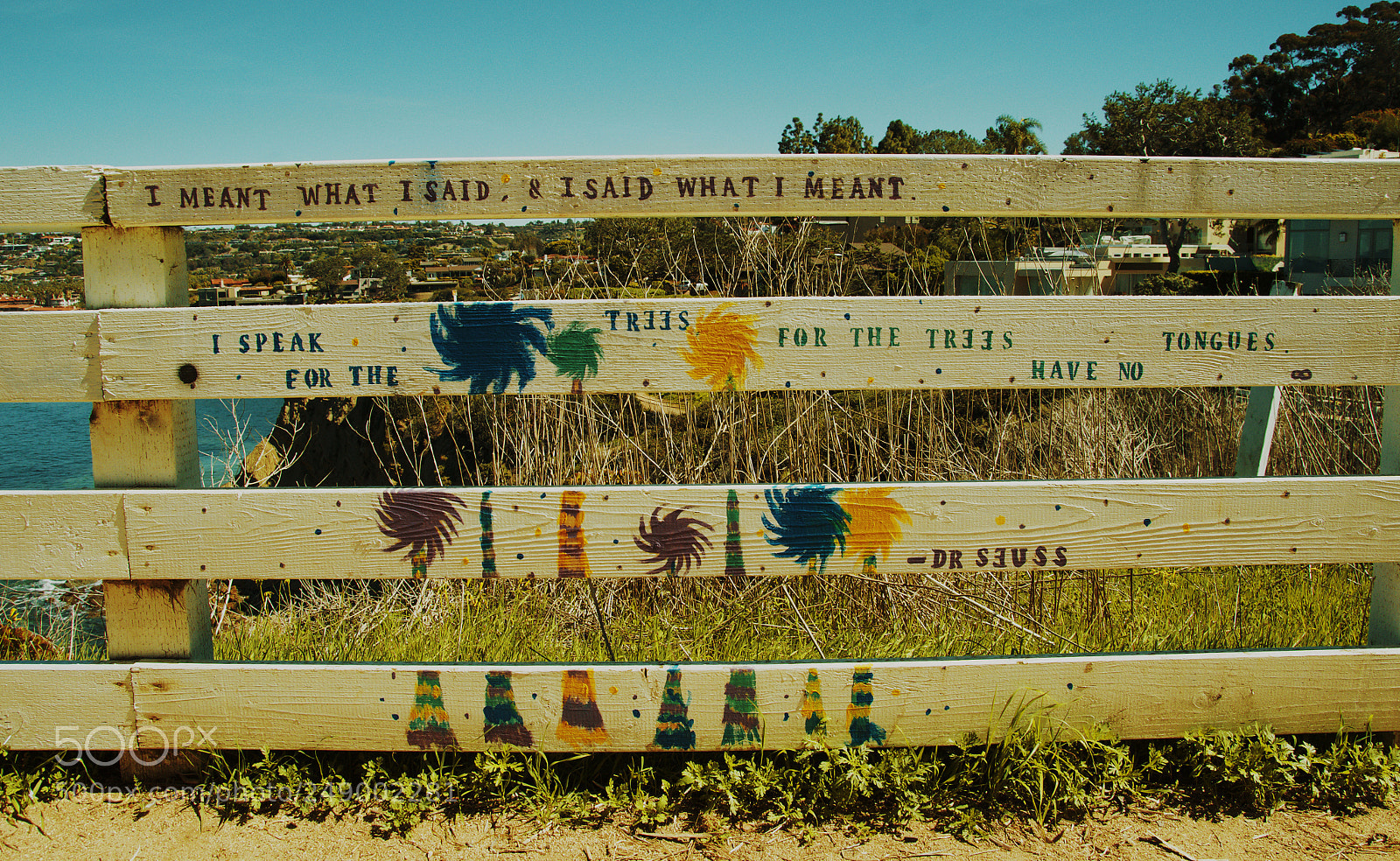 Nikon D7000 sample photo. A quote from dr photography