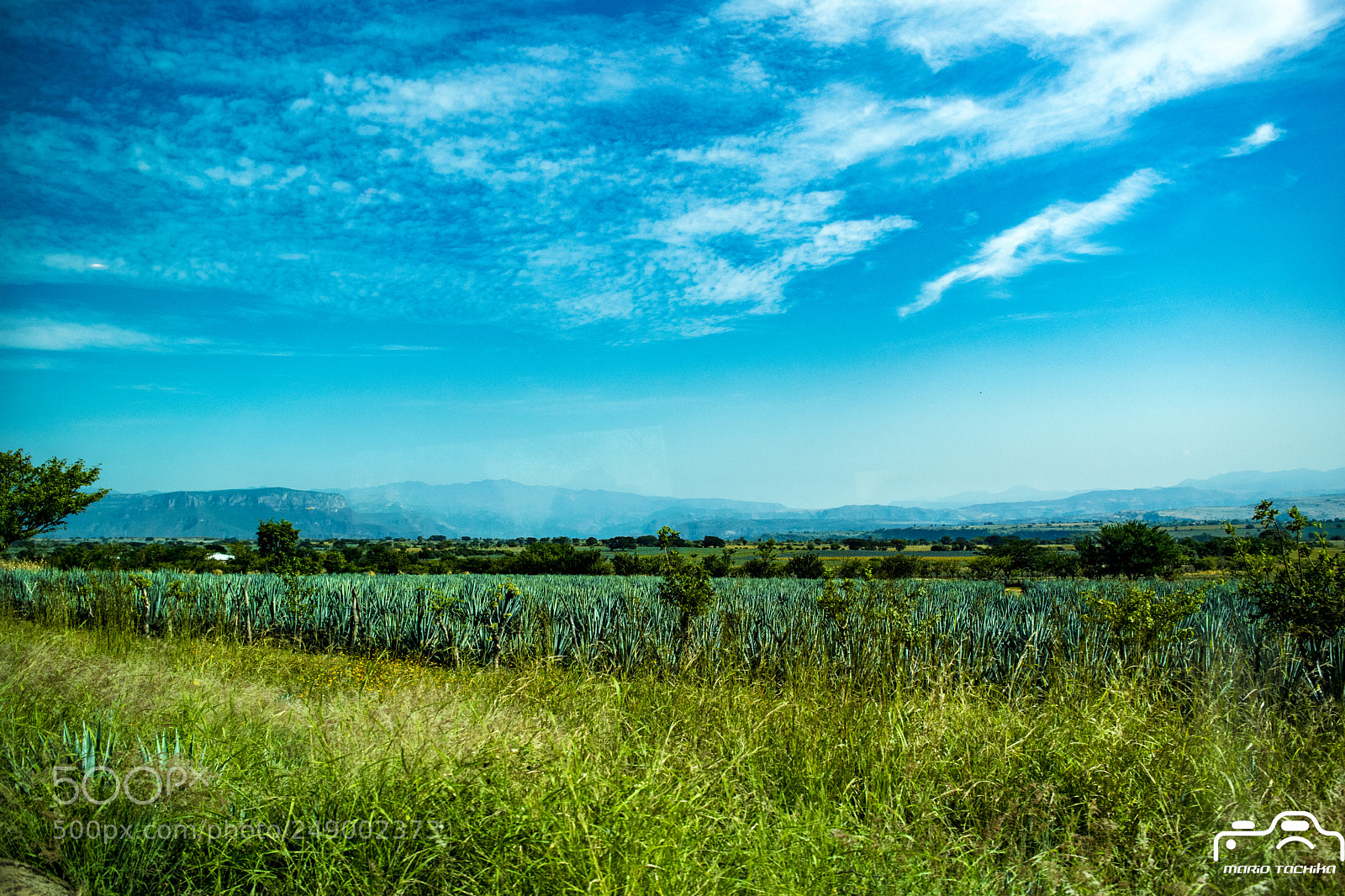 Nikon D3300 sample photo. Postal de jalisco postal photography