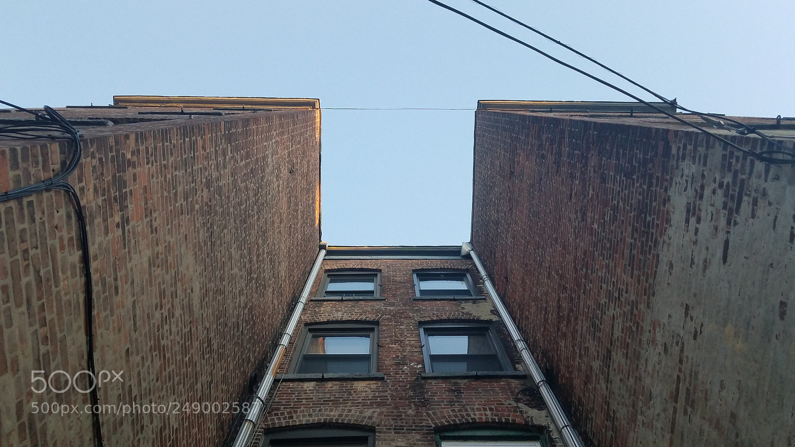 Samsung Galaxy S7 sample photo. Upwards photography