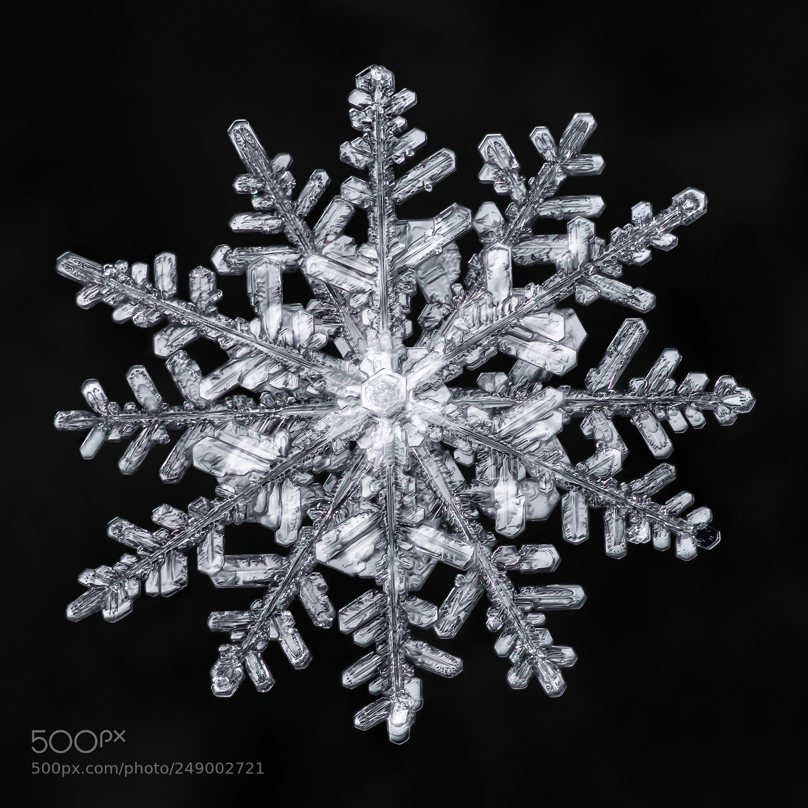 Canon EOS-1D X Mark II sample photo. Snowflake-a-day no. 63 photography