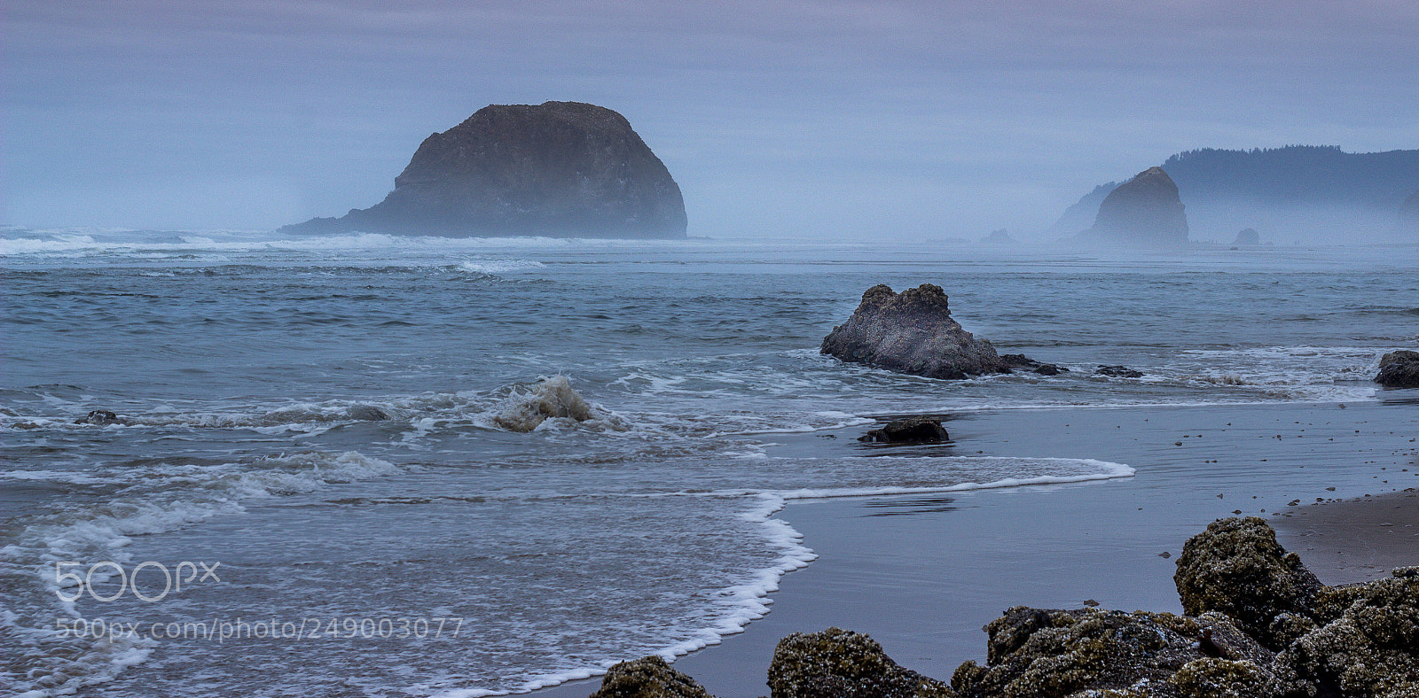 Canon EOS 600D (Rebel EOS T3i / EOS Kiss X5) sample photo. The oregon coast drive photography