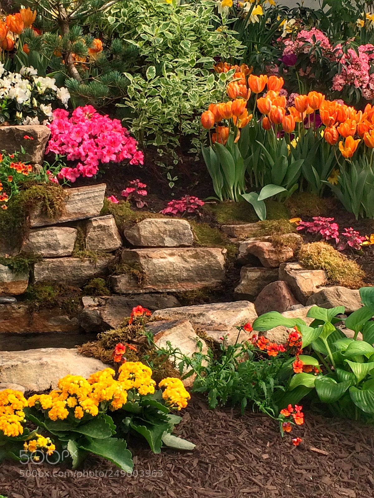Apple iPhone 5s sample photo. At the garden show photography