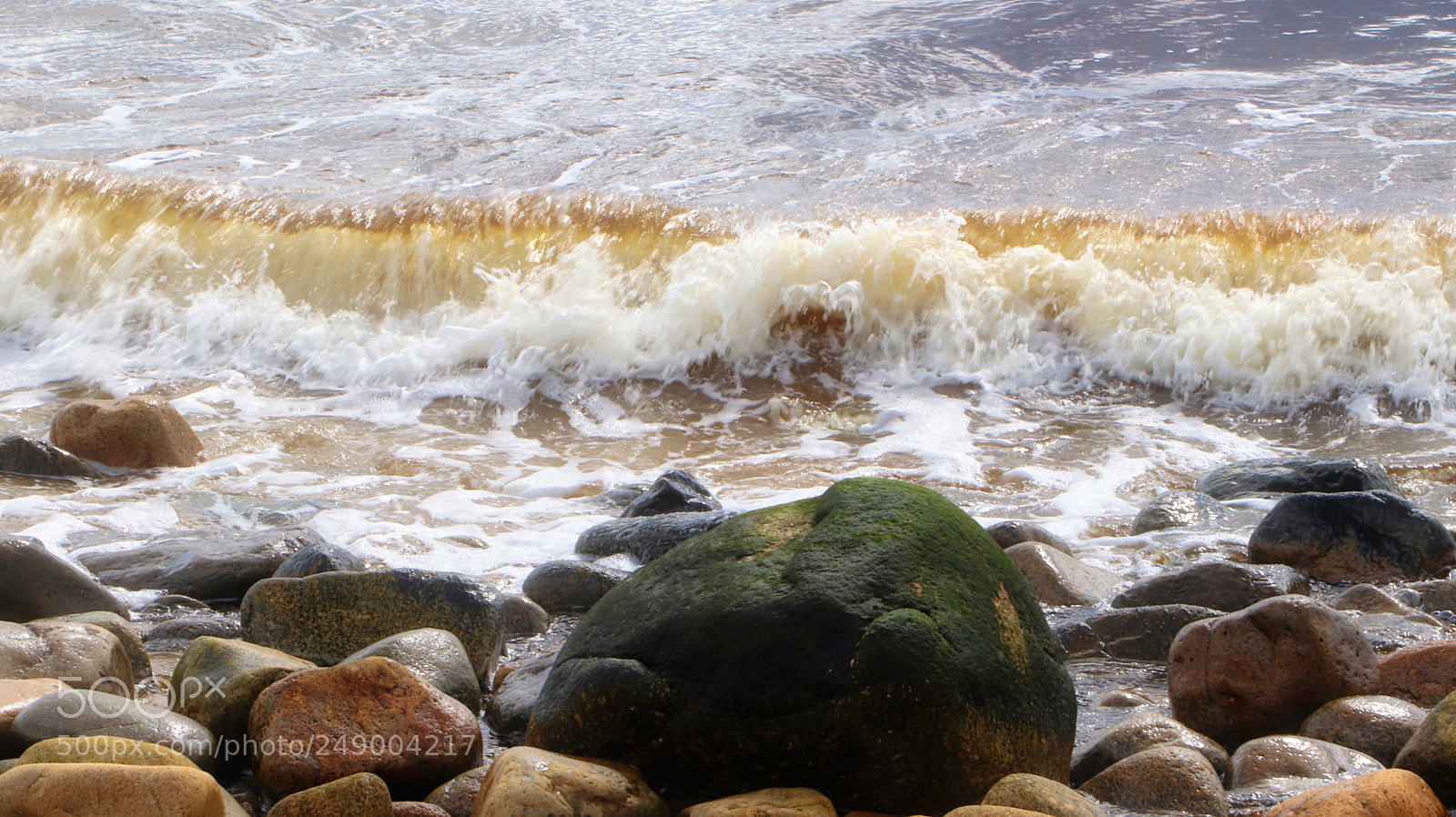 Canon EOS 800D (EOS Rebel T7i / EOS Kiss X9i) sample photo. St margarets bay rd photography