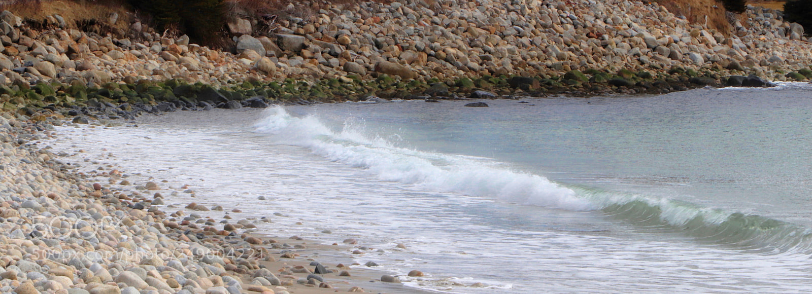 Canon EOS 800D (EOS Rebel T7i / EOS Kiss X9i) sample photo. St margarets bay rd photography