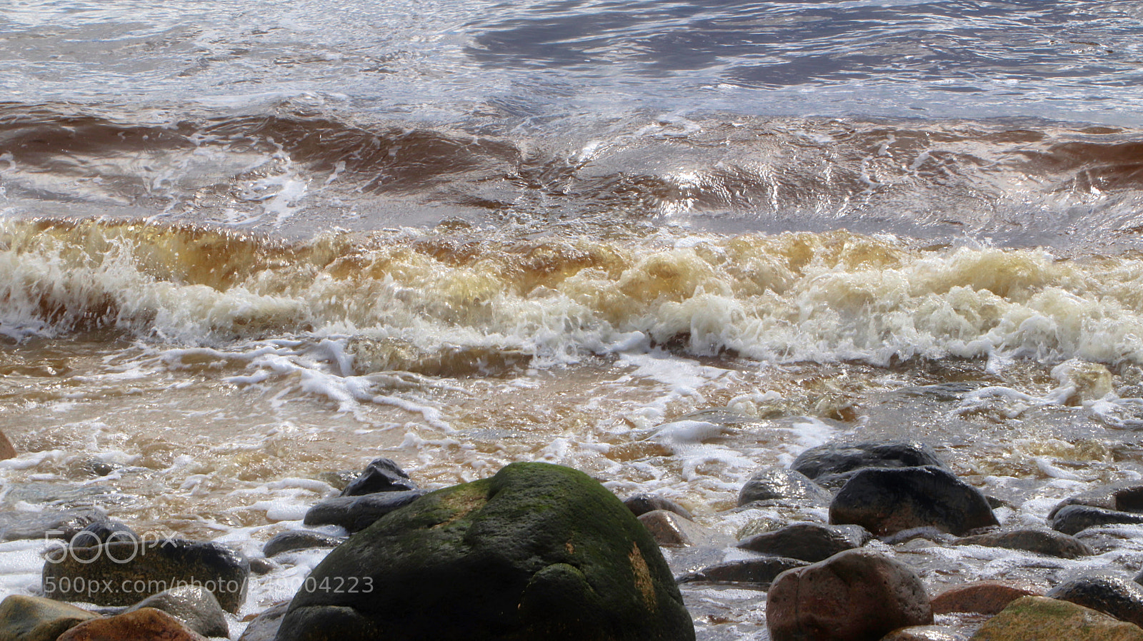 Canon EOS 800D (EOS Rebel T7i / EOS Kiss X9i) sample photo. St margarets bay rd photography