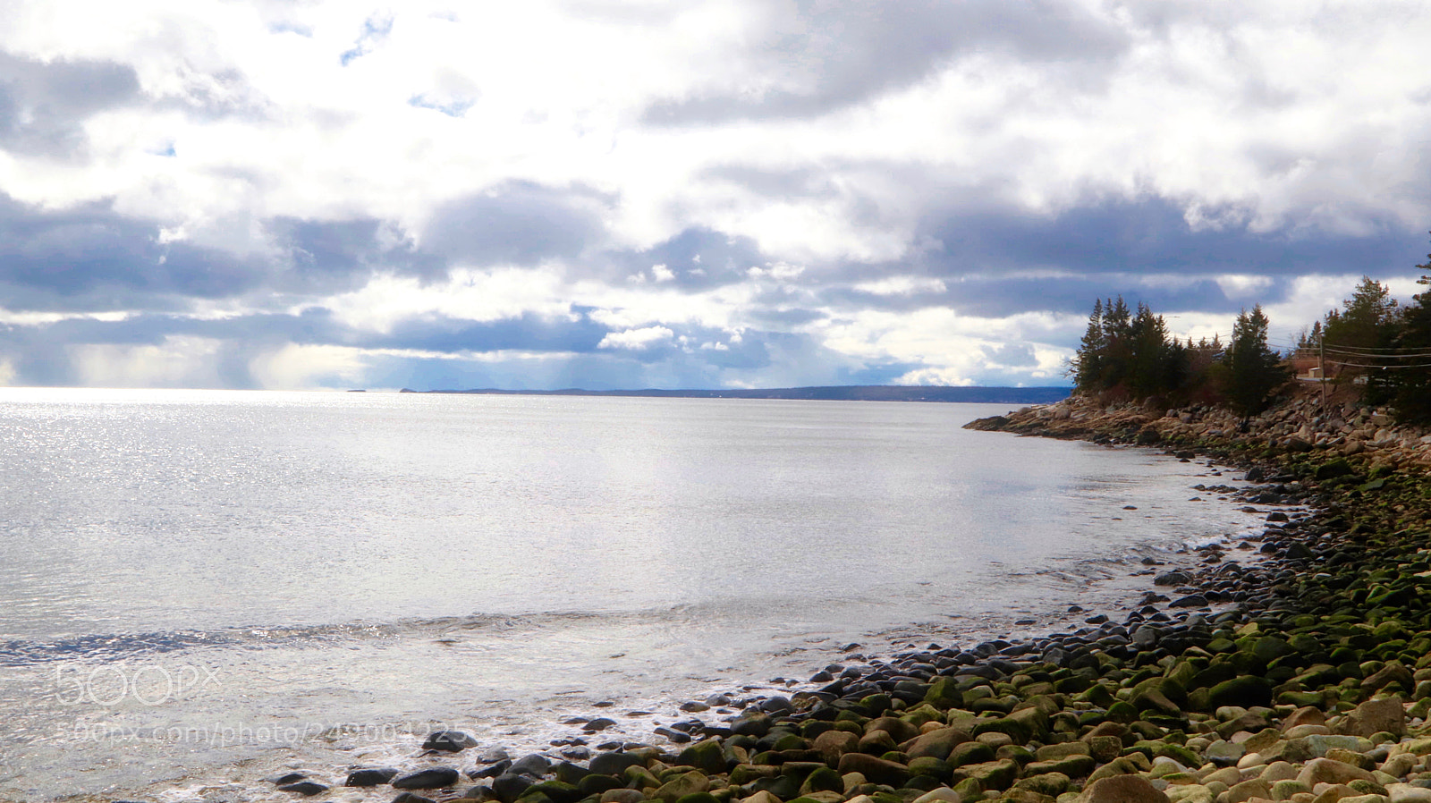 Canon EOS 800D (EOS Rebel T7i / EOS Kiss X9i) sample photo. St margarets bay rd photography