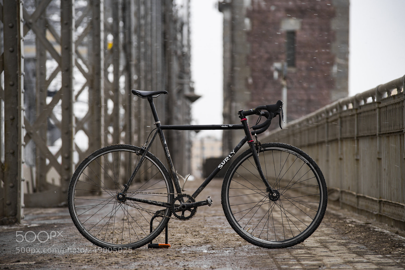 Sony a7 II sample photo. Surly photography