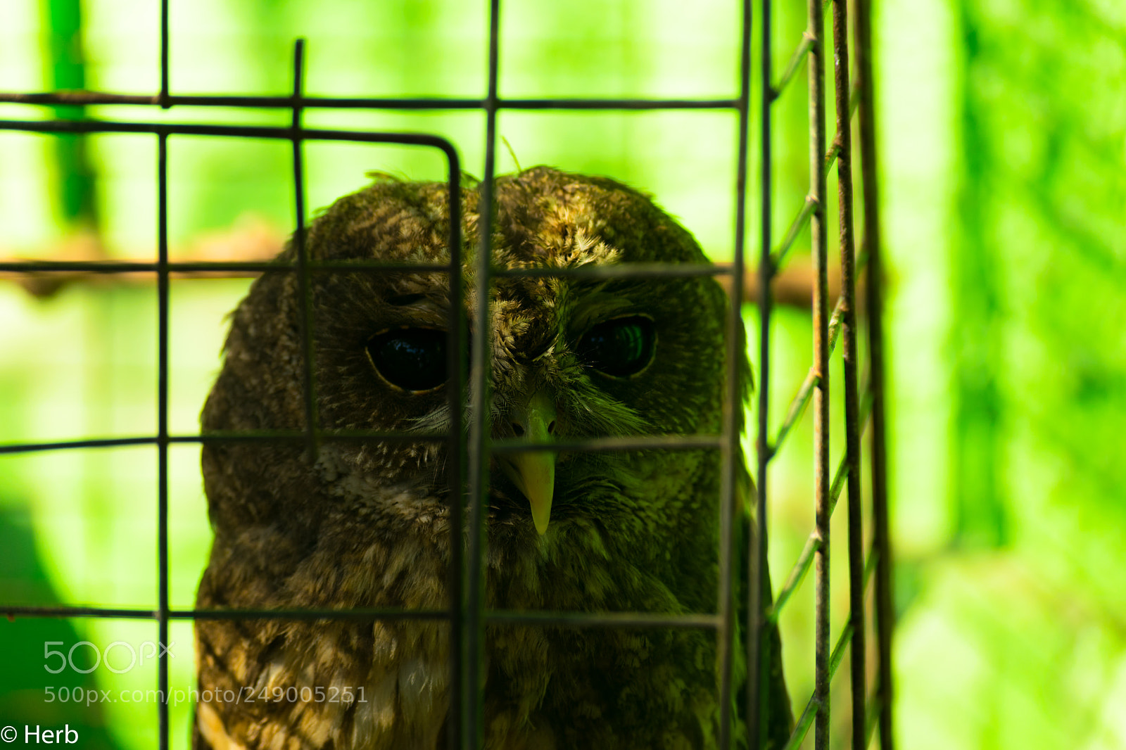 Nikon D3300 sample photo. Dsc photography