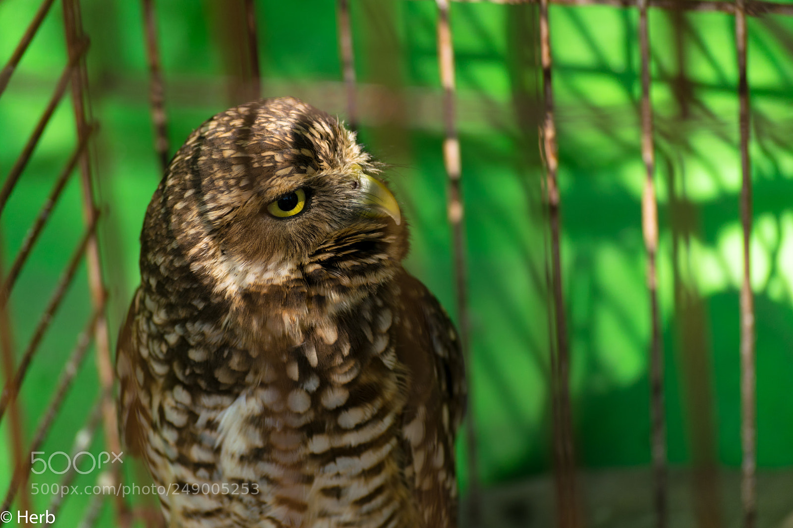 Nikon D3300 sample photo. Dsc photography
