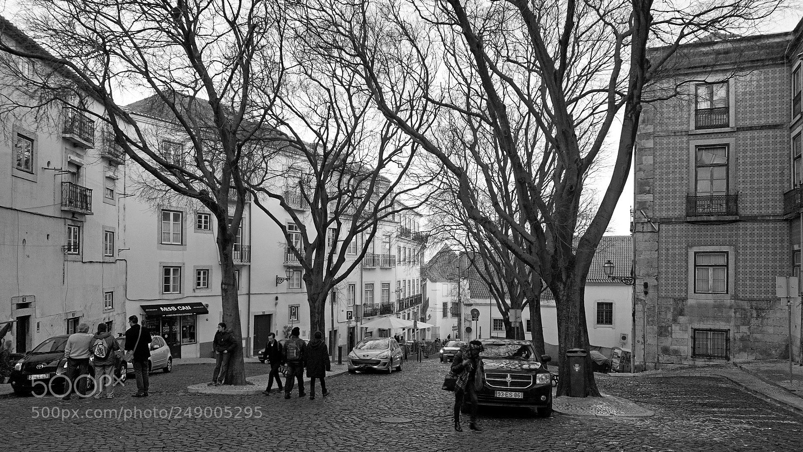 Sony a6000 sample photo. Trees on the street photography
