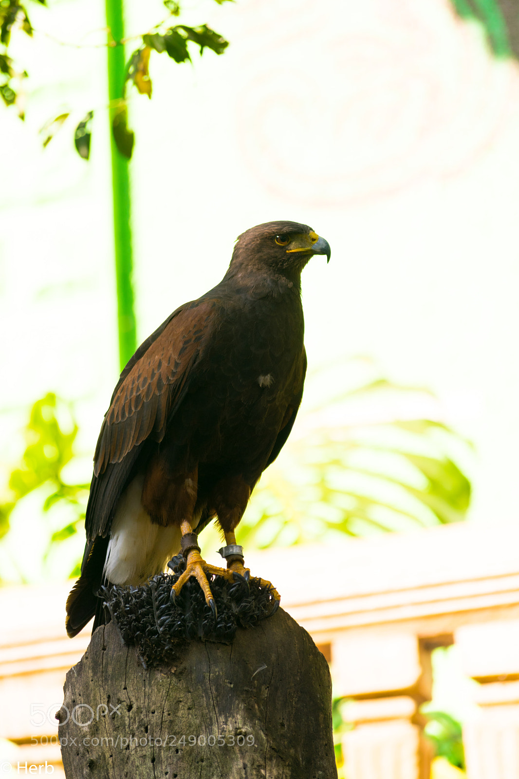 Nikon D3300 sample photo. Dsc photography