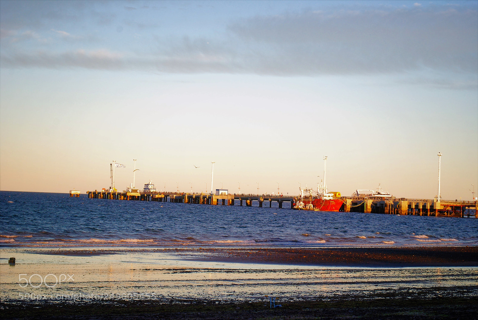 Nikon D3000 sample photo. Untitled photography