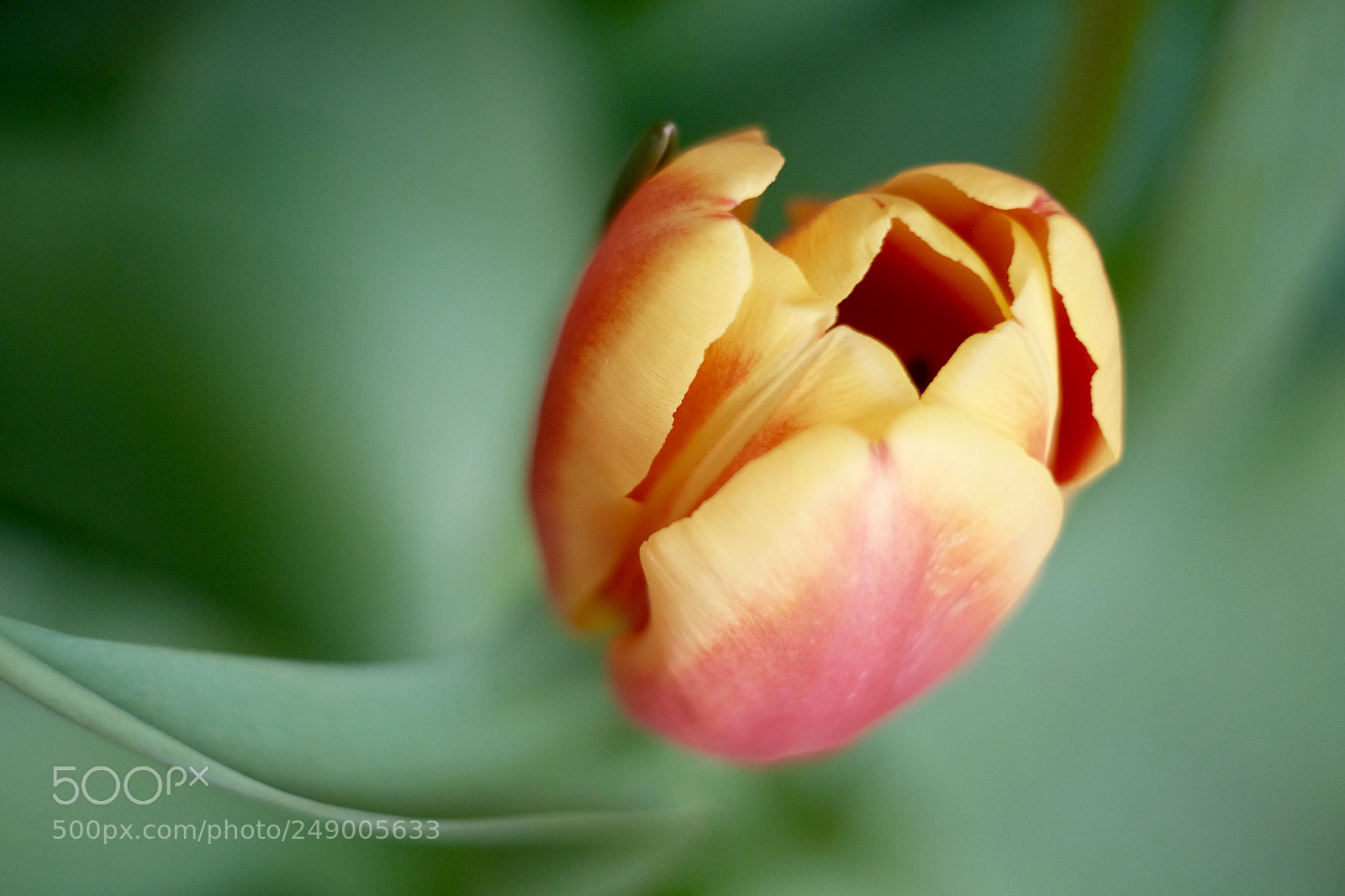 Fujifilm X-T1 sample photo. () photography