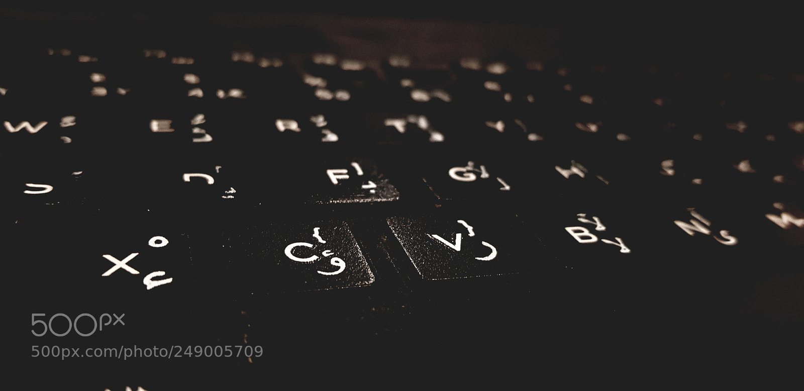 Samsung Galaxy S8+ sample photo. Untitled photography