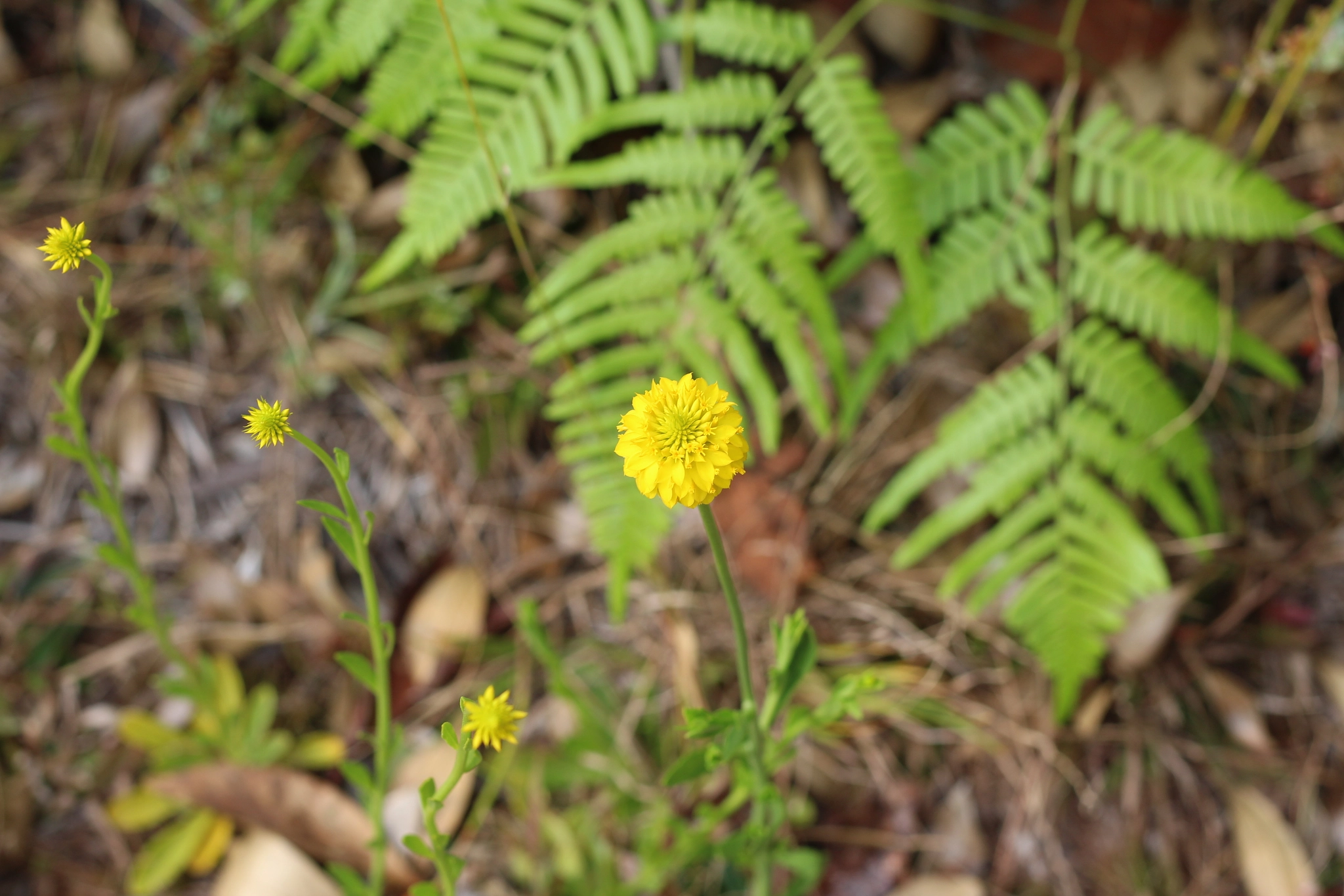 Canon EOS 1300D (EOS Rebel T6 / EOS Kiss X80) sample photo. Butler-tibet nature preserve photography
