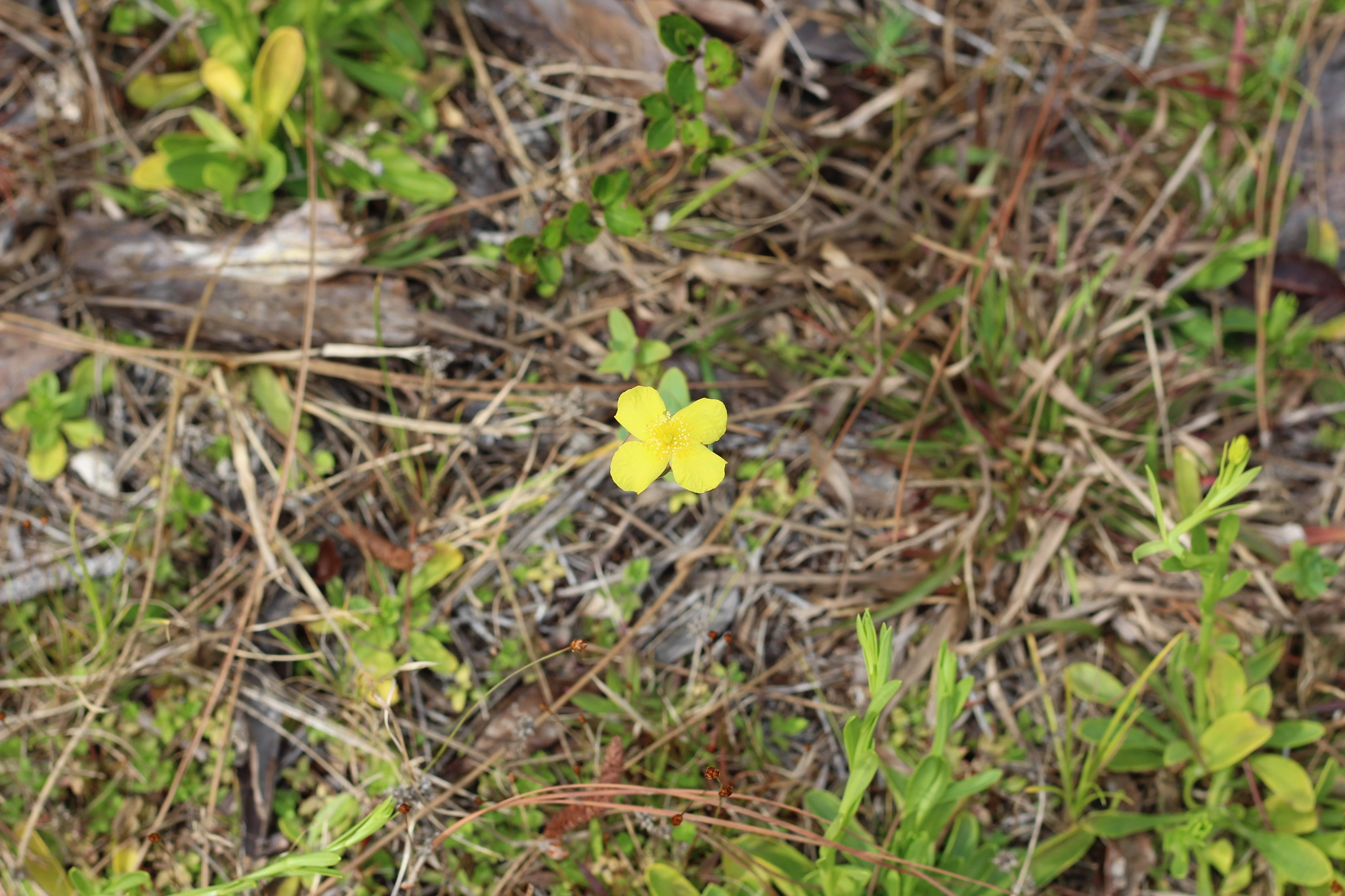 Canon EOS 1300D (EOS Rebel T6 / EOS Kiss X80) sample photo. Butler-tibet nature preserve photography