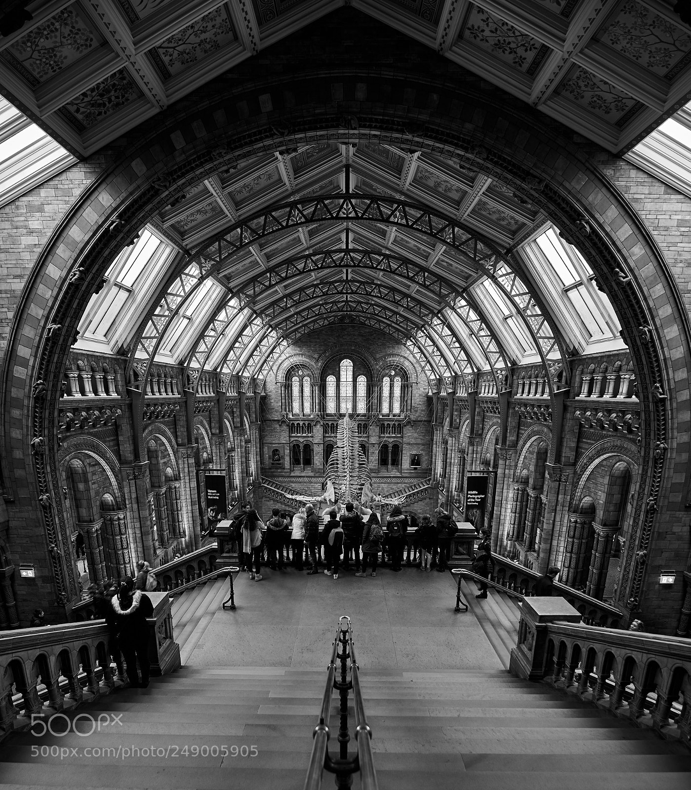 Nikon D610 sample photo. Natural history museum photography