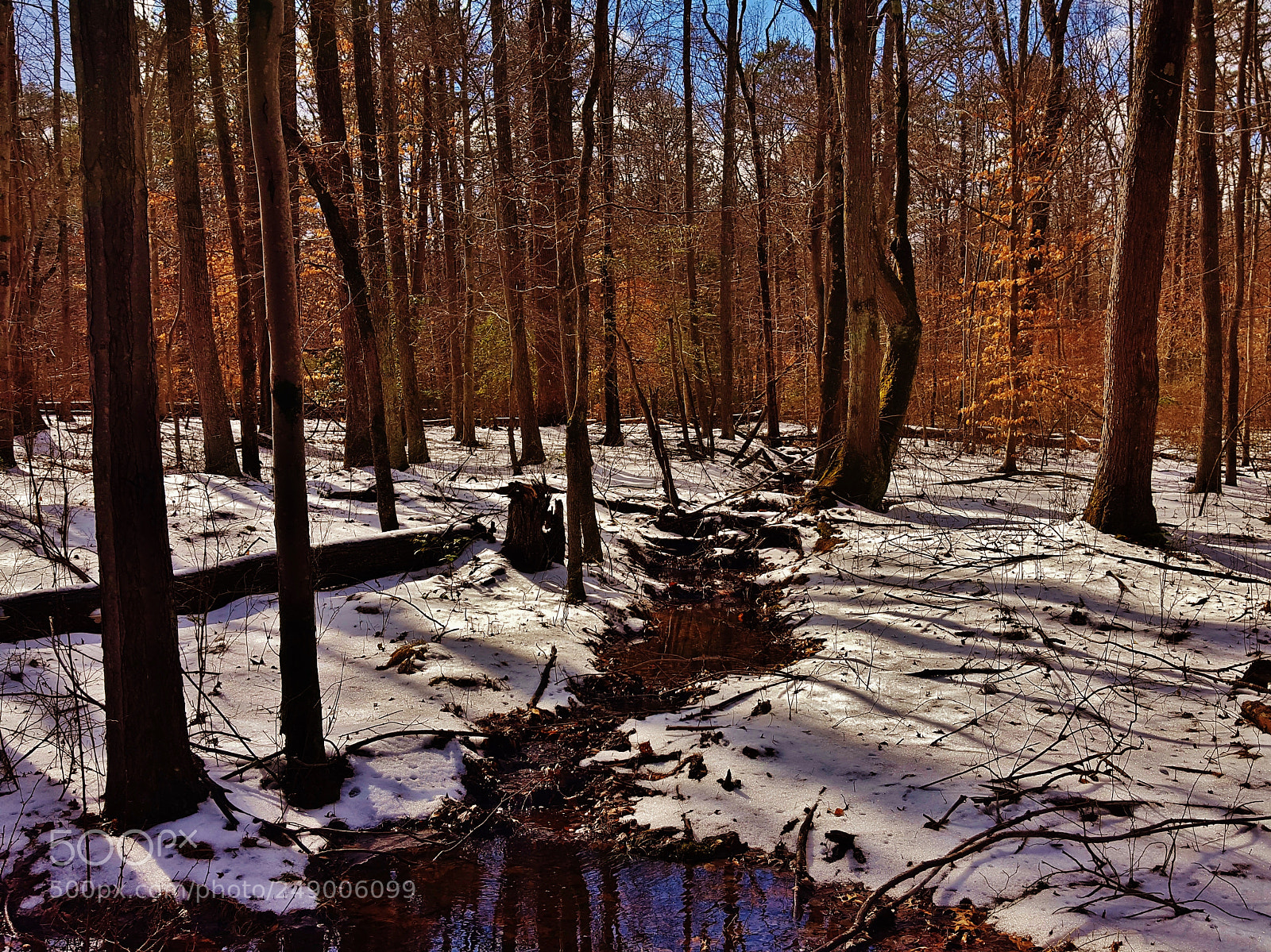 Samsung Galaxy S6 sample photo. Winter at patuxent 2018 photography