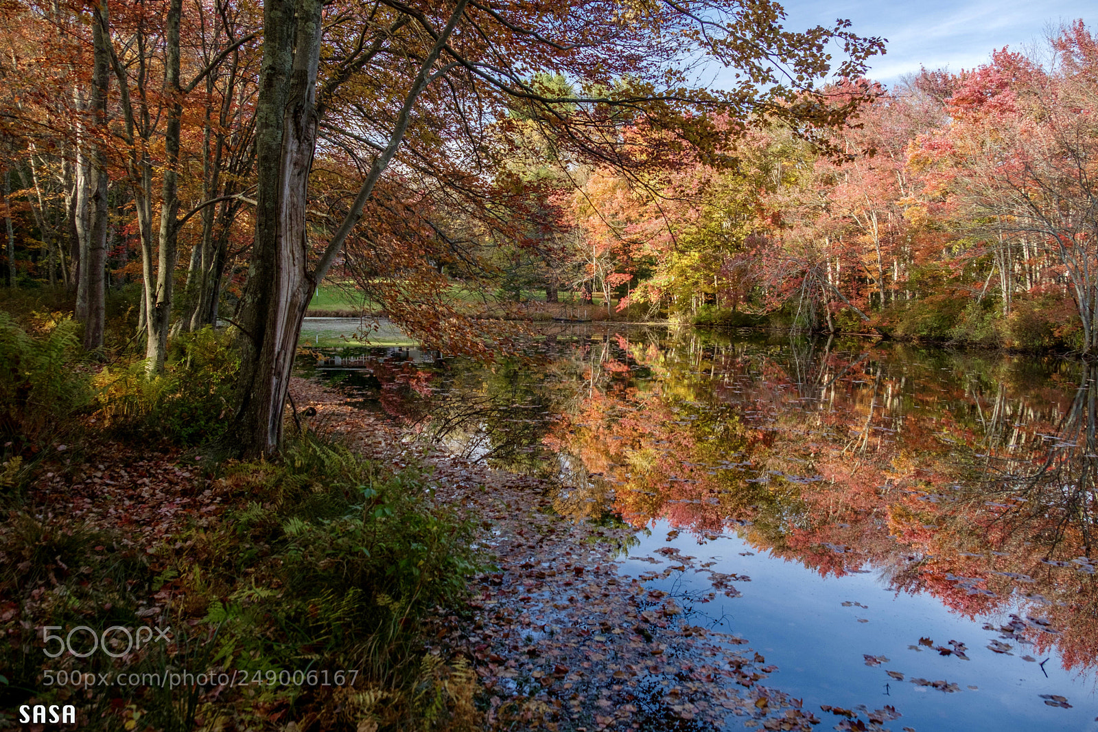 Fujifilm X-Pro2 sample photo. Splash of fall photography