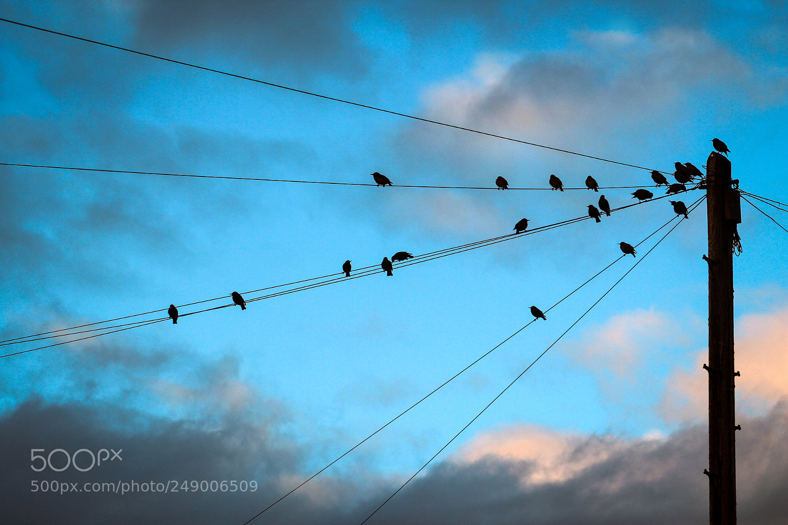 Canon EOS 600D (Rebel EOS T3i / EOS Kiss X5) sample photo. Bird watch photography
