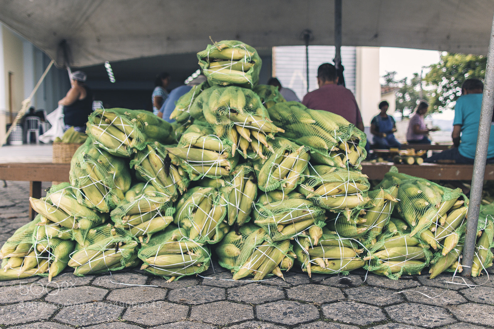 Canon EOS 600D (Rebel EOS T3i / EOS Kiss X5) sample photo. Corn photography