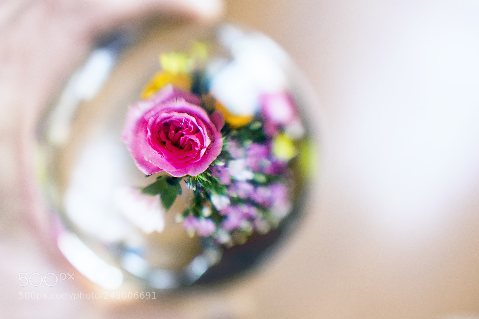 Nikon D7100 sample photo. 一花一世界 photography