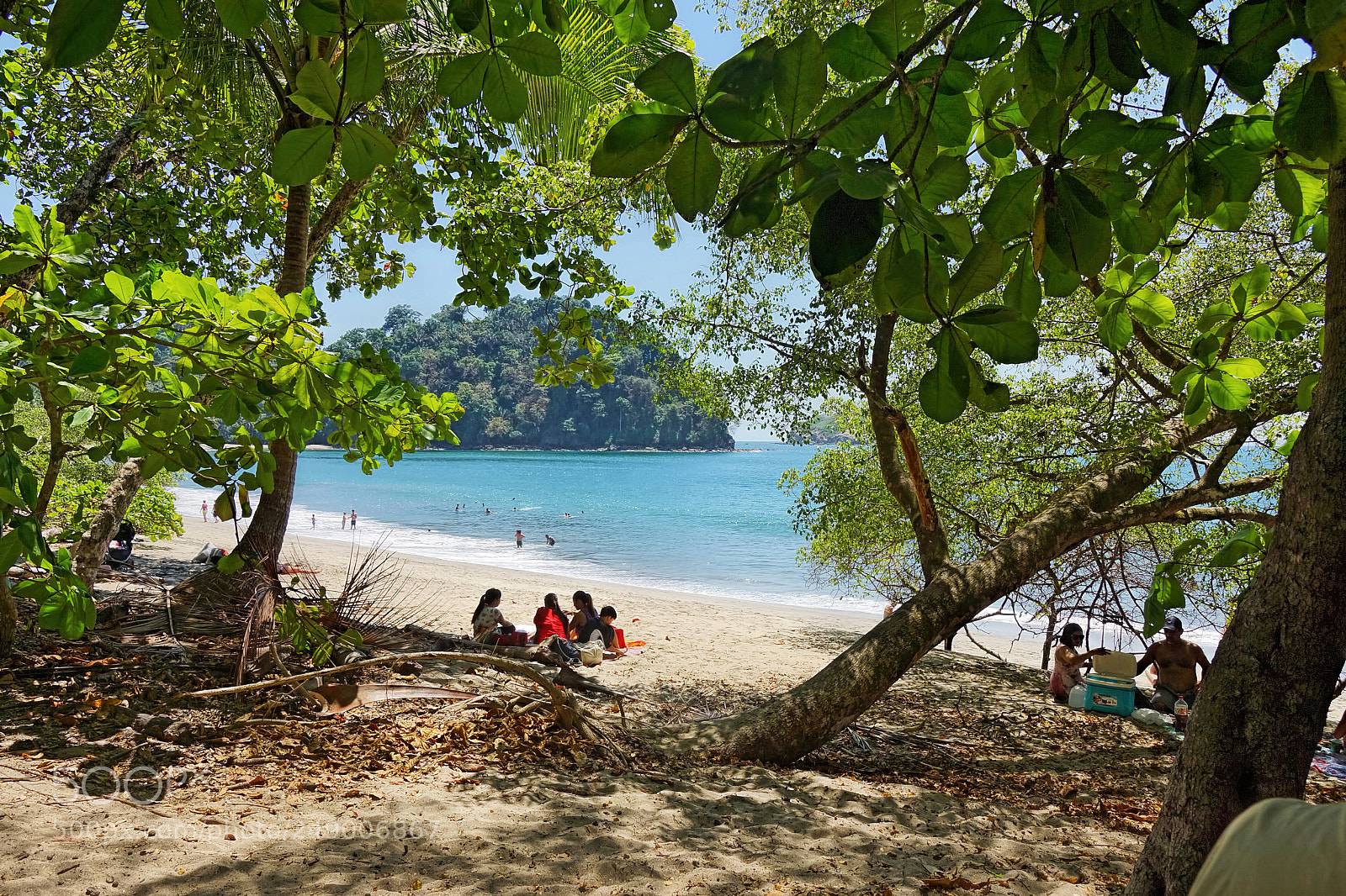 Sony SLT-A77 sample photo. Manuel antonio, pacific coast photography