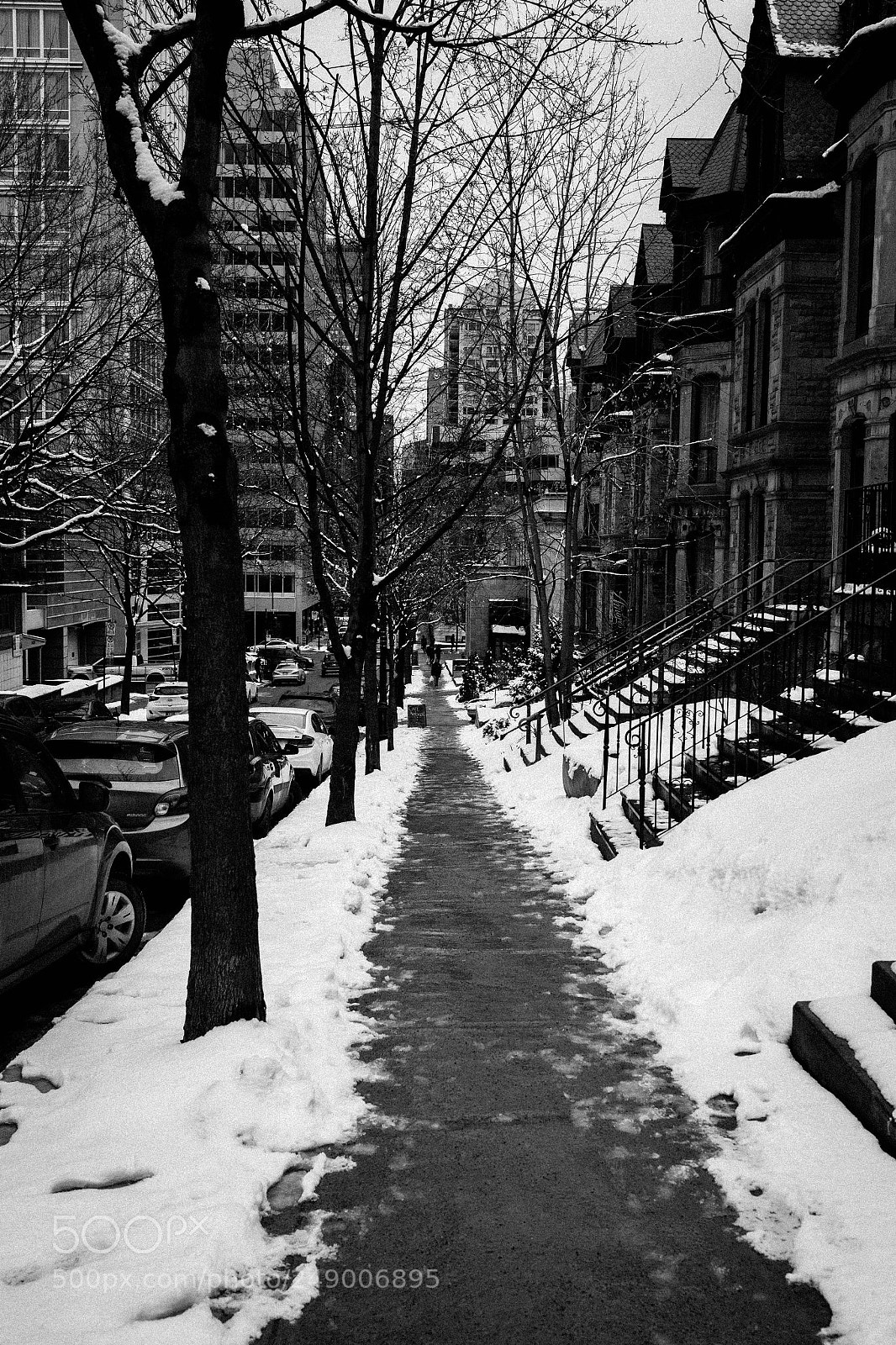 Leica Q (Typ 116) sample photo. Winter’s last hoorah..... photography
