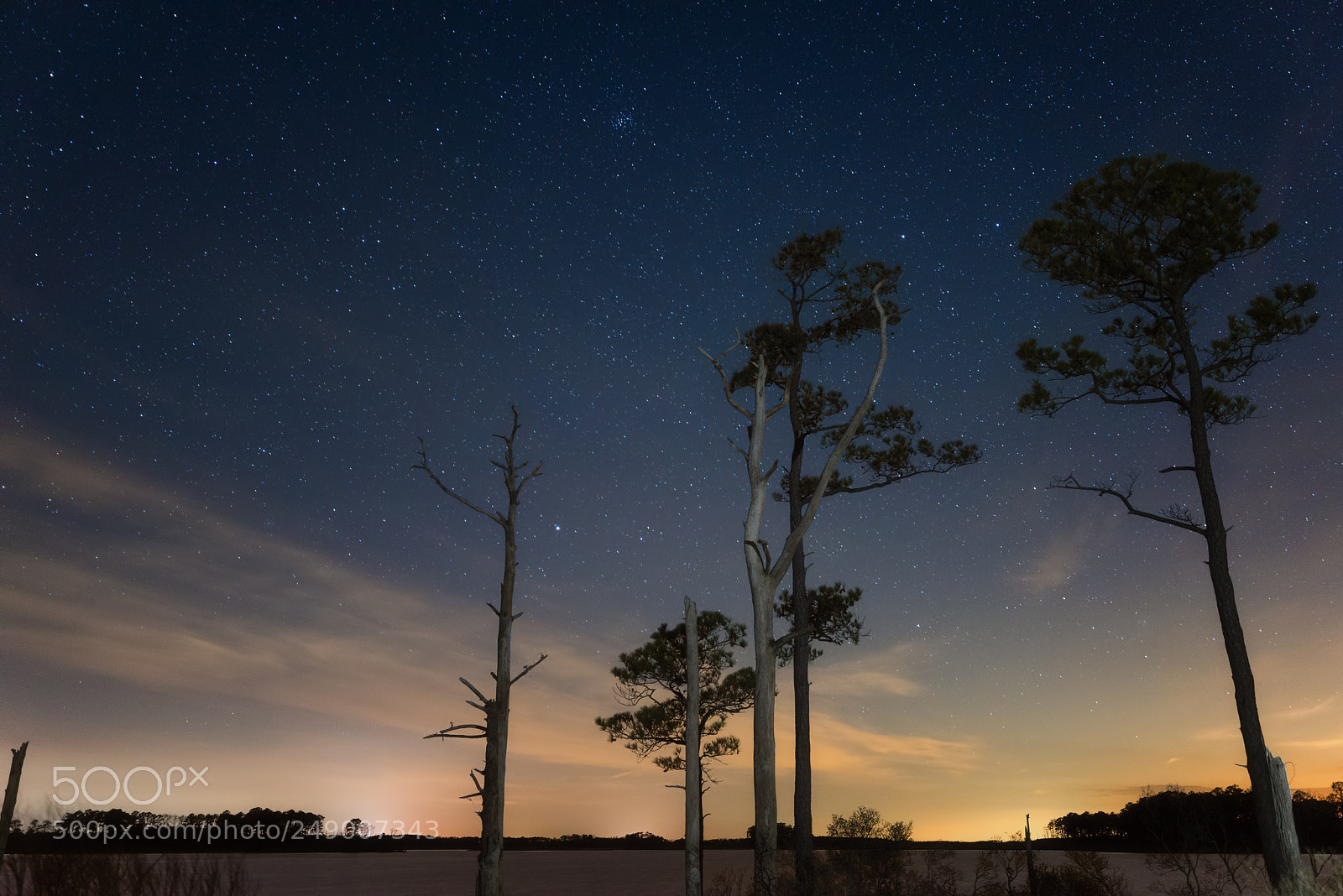 Nikon D800 sample photo. Blackwater blues photography