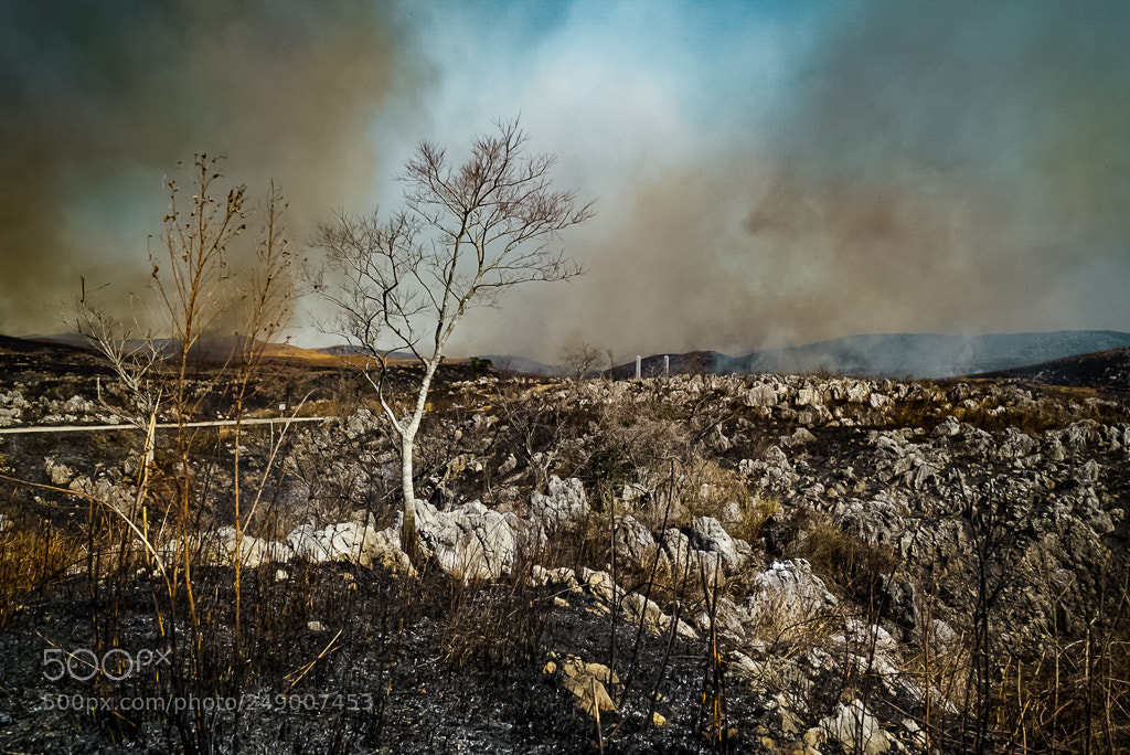 Sony a7R II sample photo. Burned mountain photography