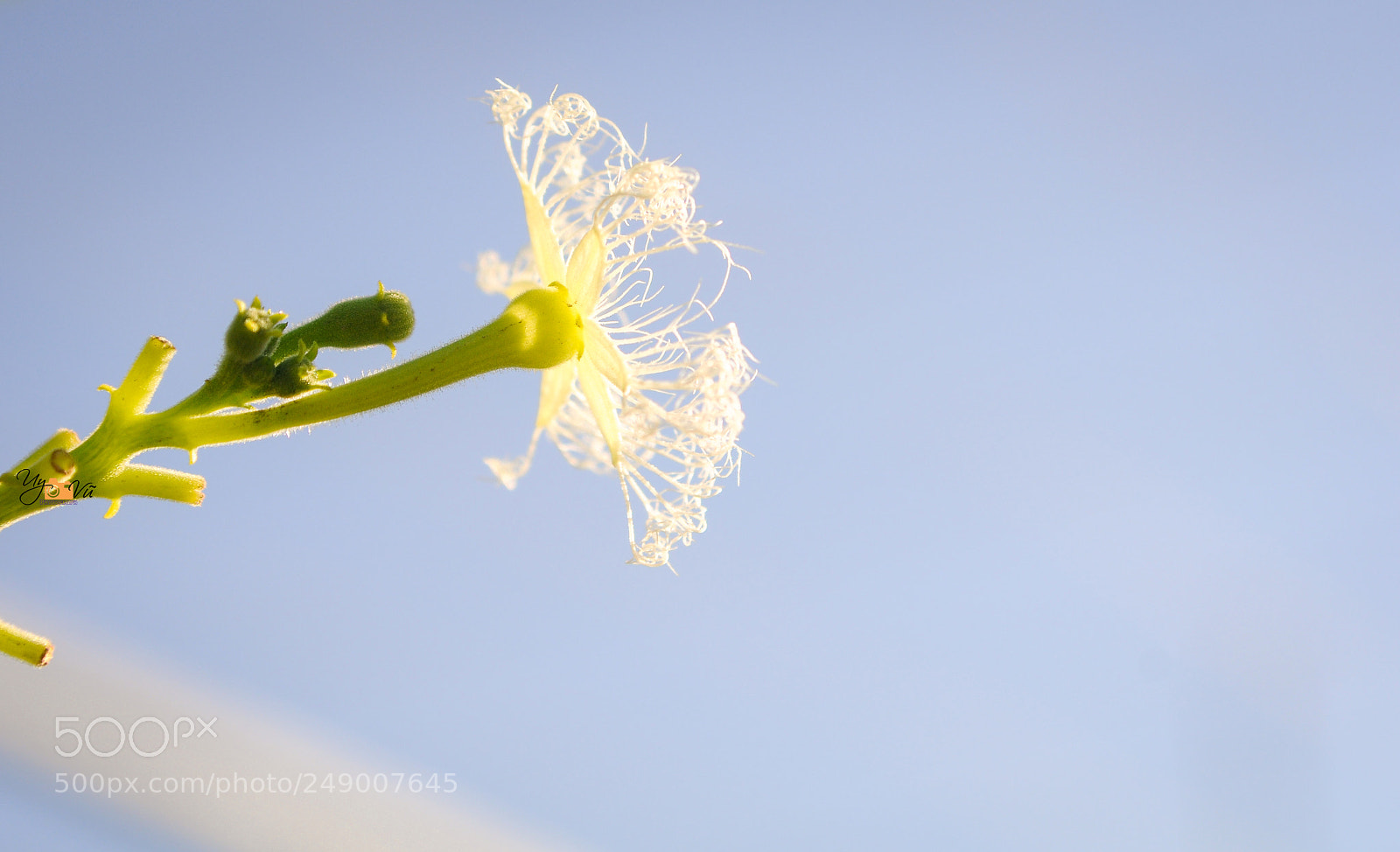 Nikon D90 sample photo. Natural photography