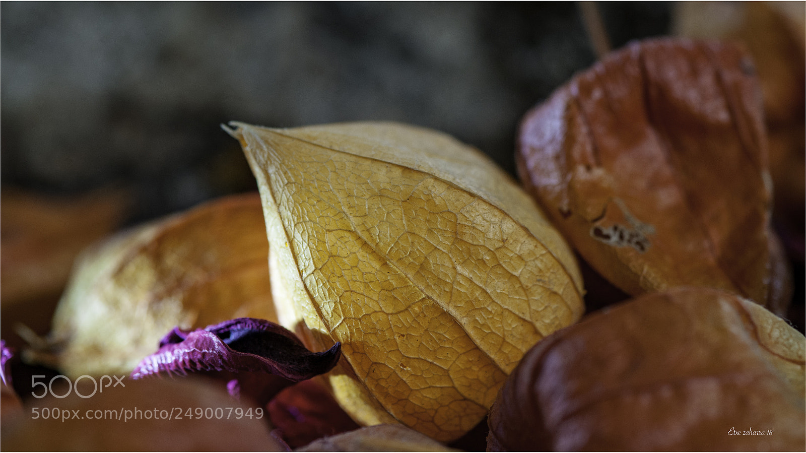 Nikon D300 sample photo. Colores otoñales ii photography