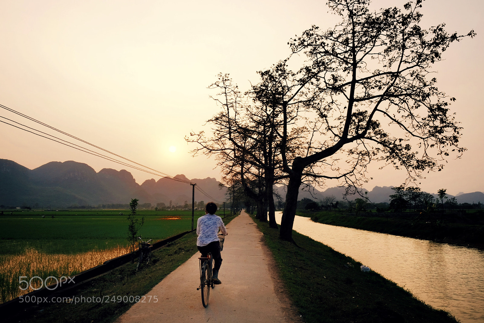 Fujifilm X-T20 sample photo. Untitled photography