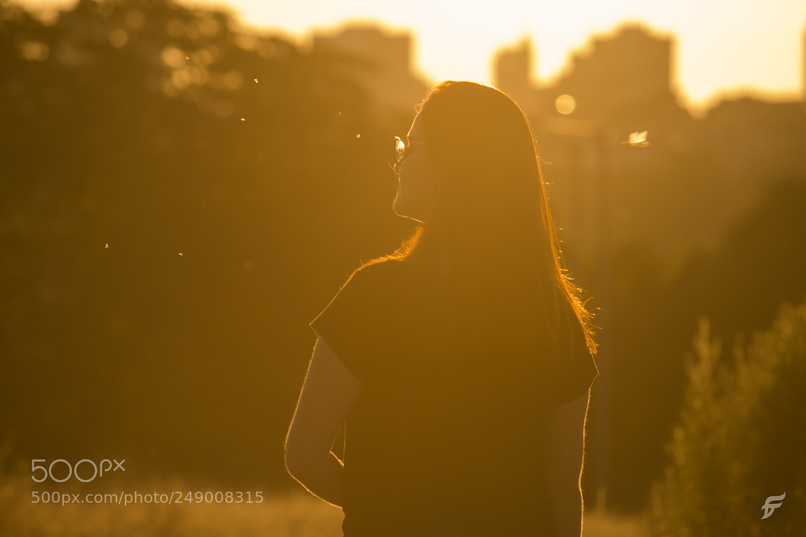 Canon EOS 700D (EOS Rebel T5i / EOS Kiss X7i) sample photo. Diullia photography