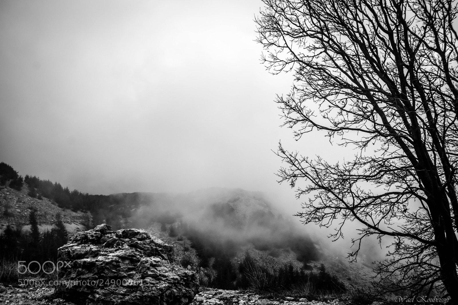 Nikon D5500 sample photo. The mist photography